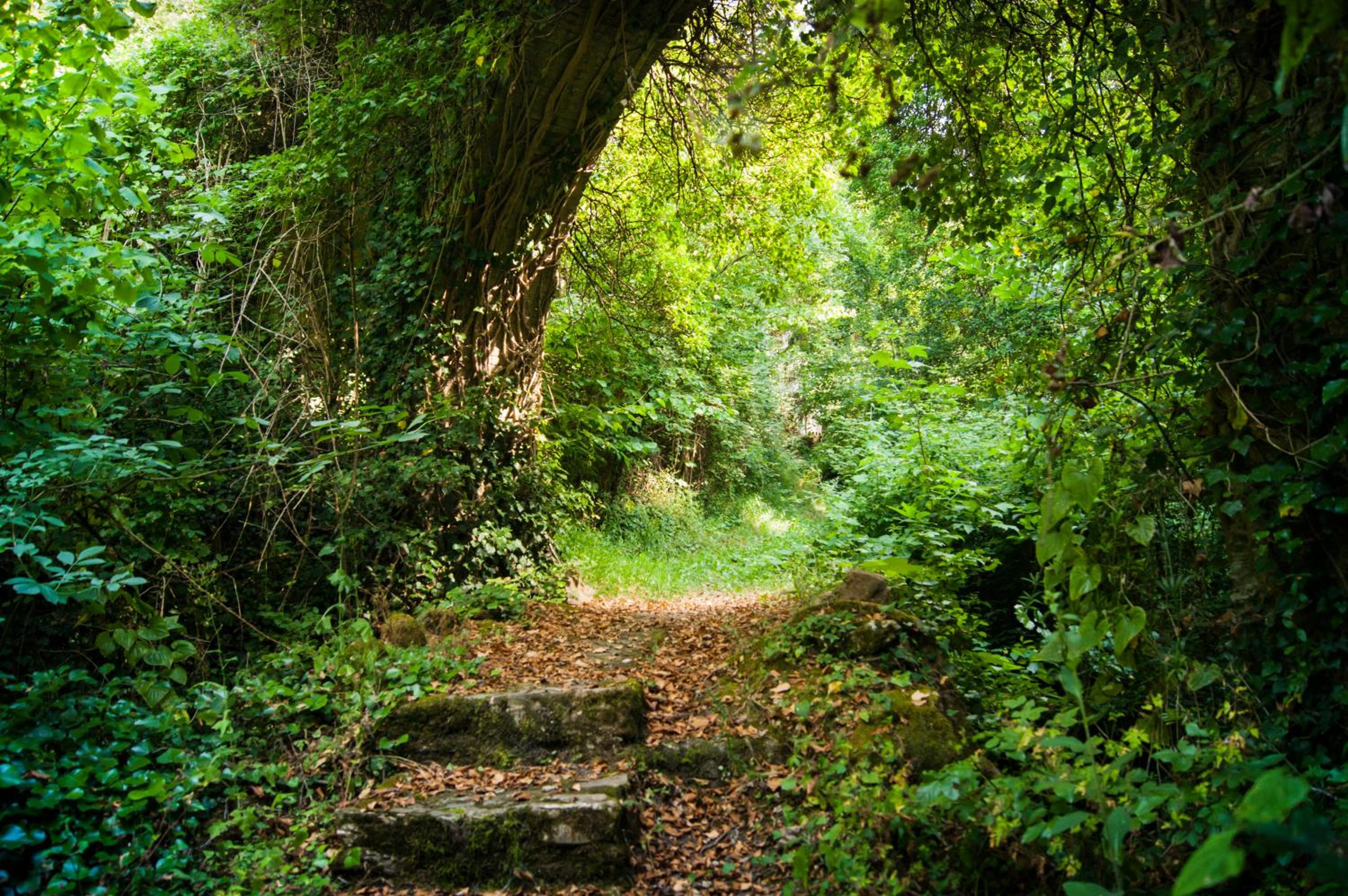 Photo 25