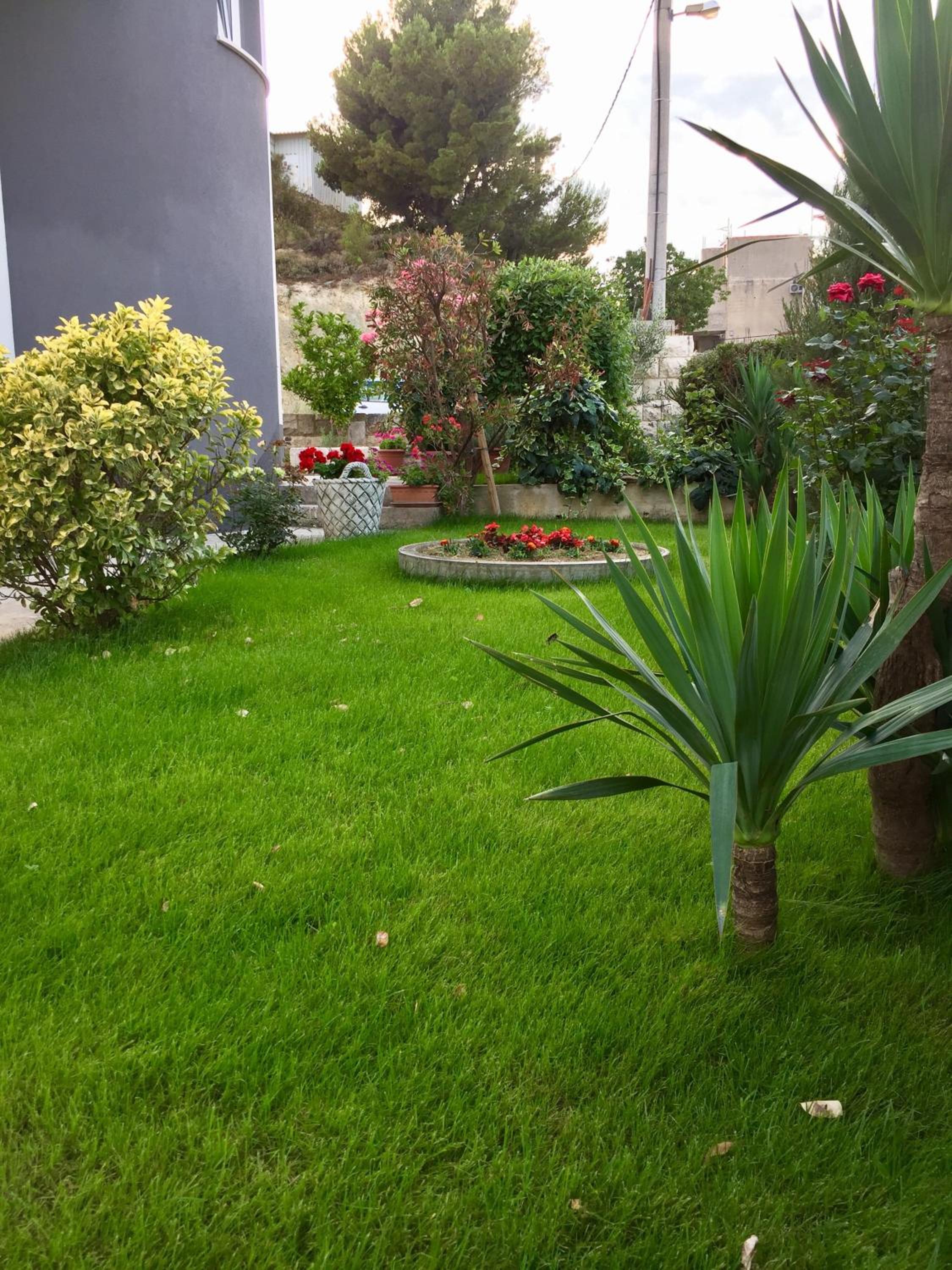 Photo 52