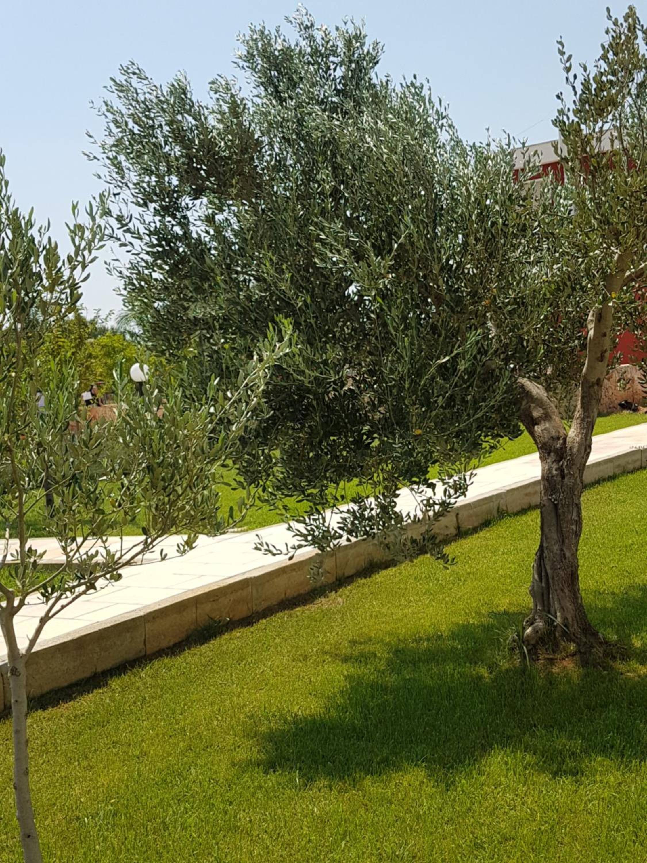 Tenuta Casine Vittorio