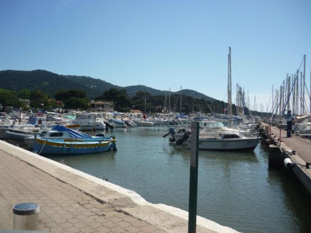 Photo 8