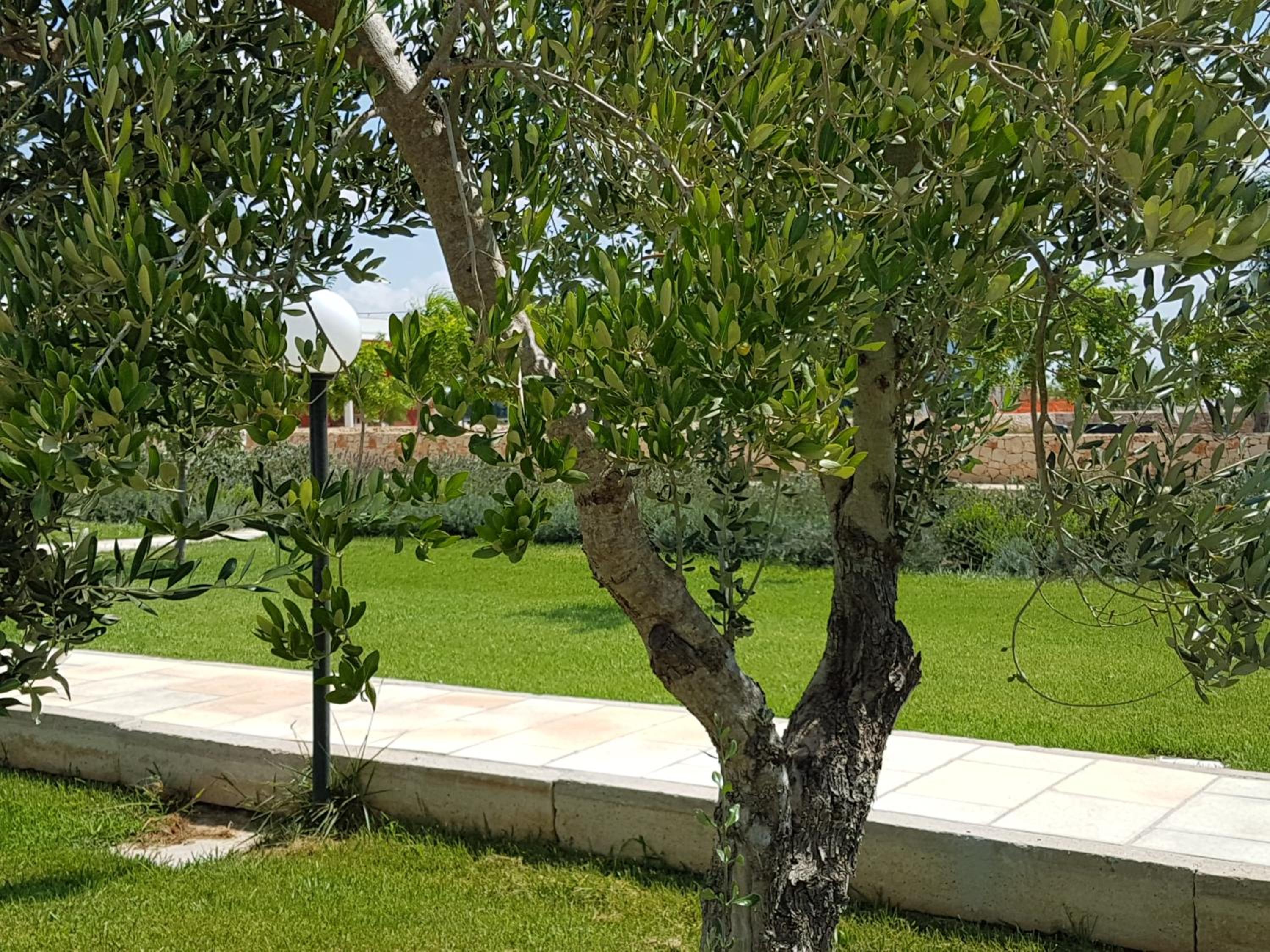 Tenuta Casine Vittorio