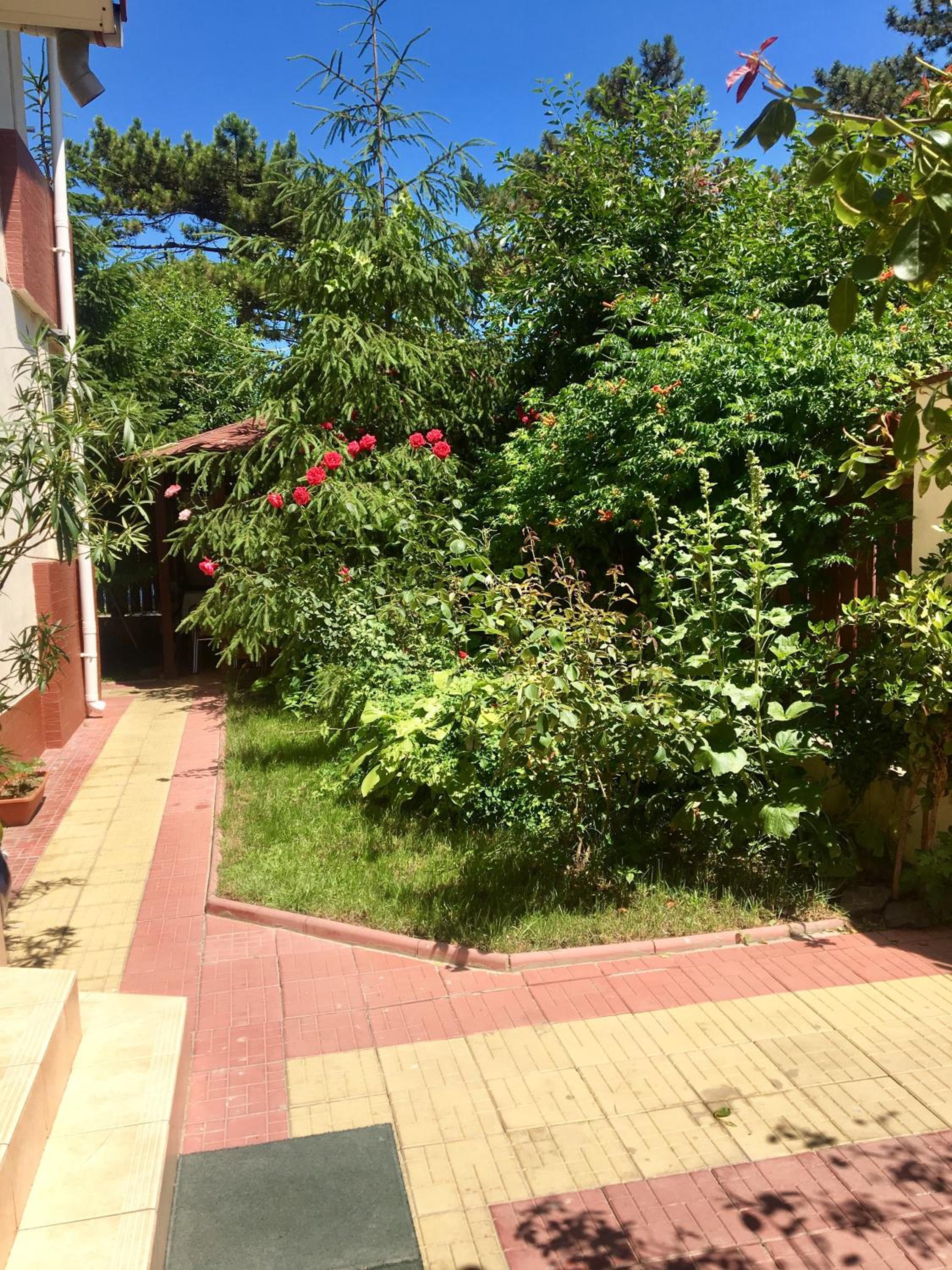 Photo 32