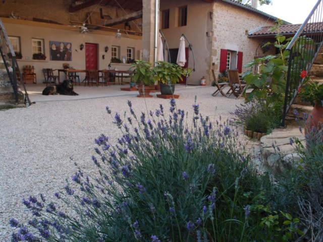 Photo 31