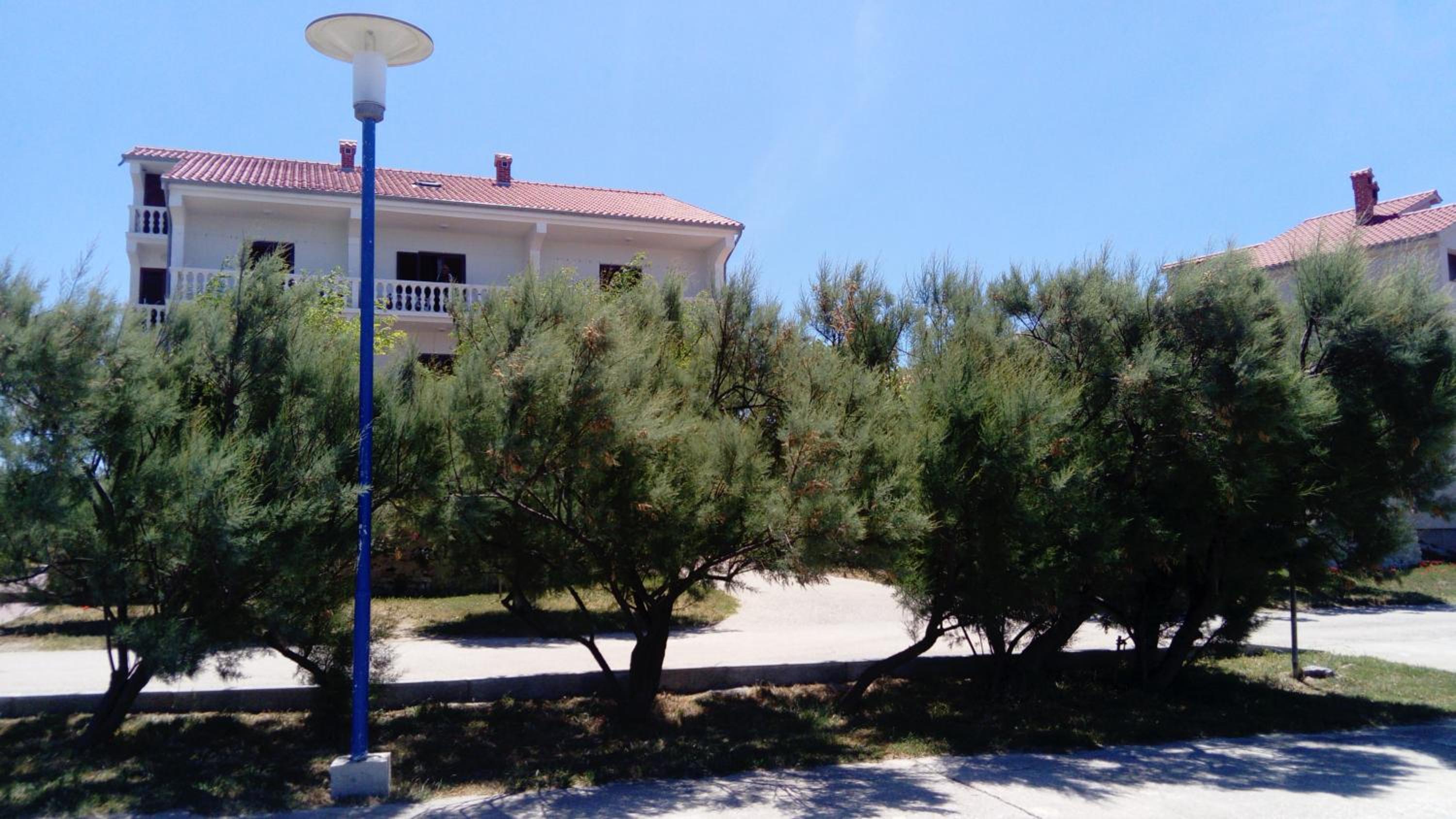 Photo 42