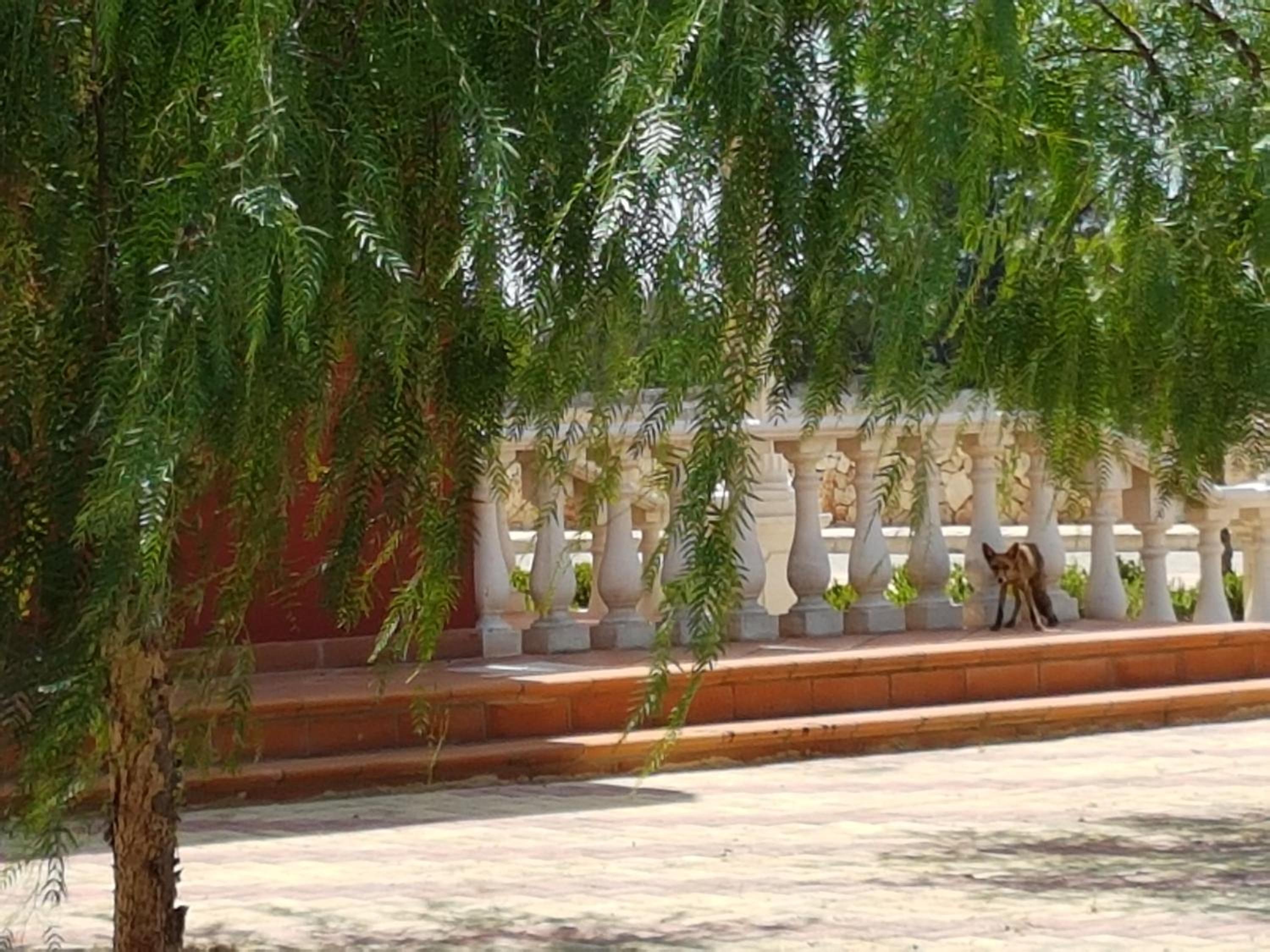 Tenuta Casine Vittorio