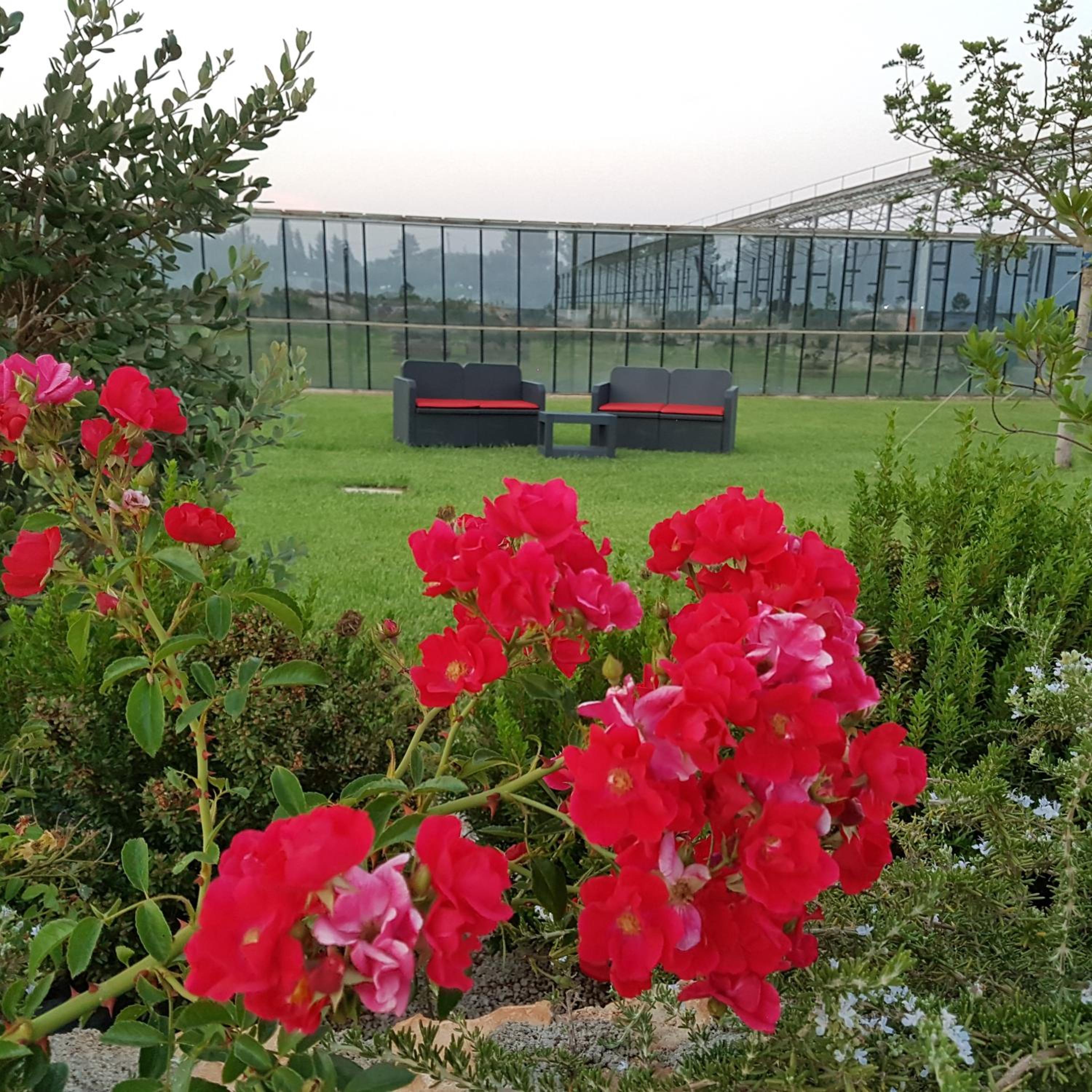 Tenuta Casine Vittorio