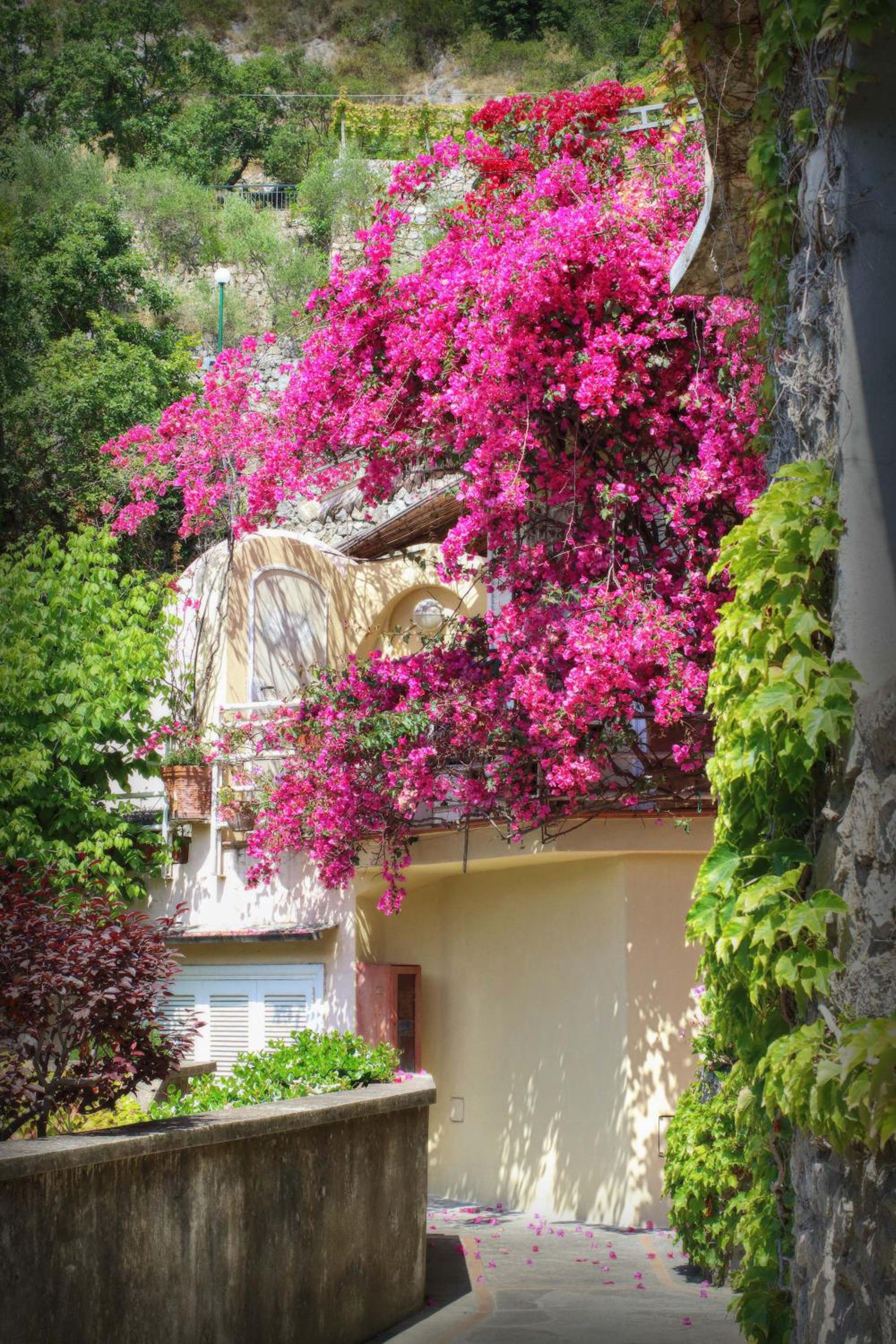 Positano Holidays