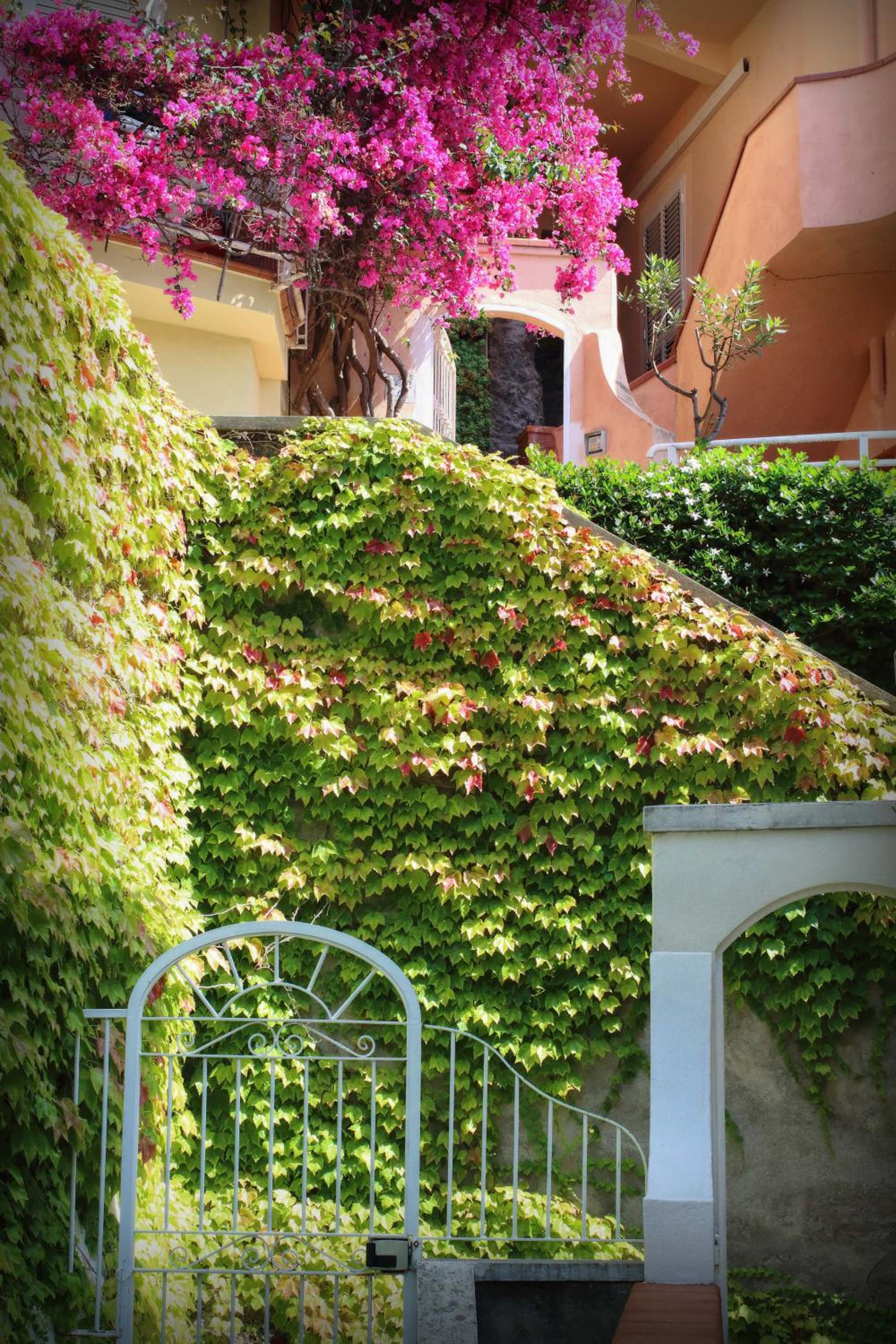 Positano Holidays