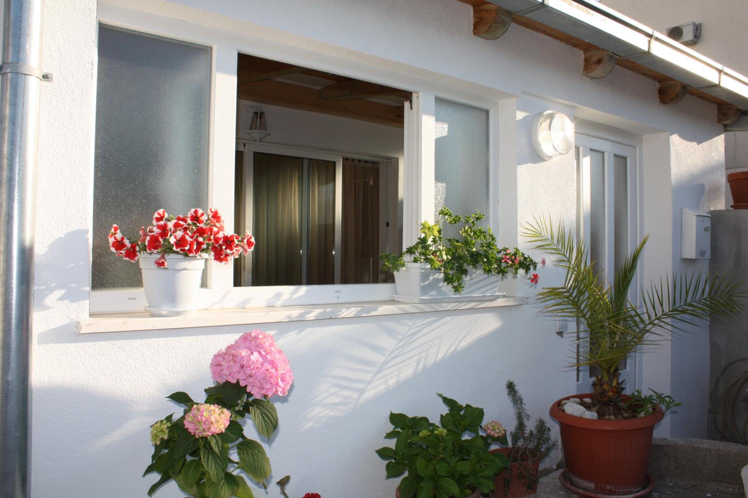 Apartment Anand