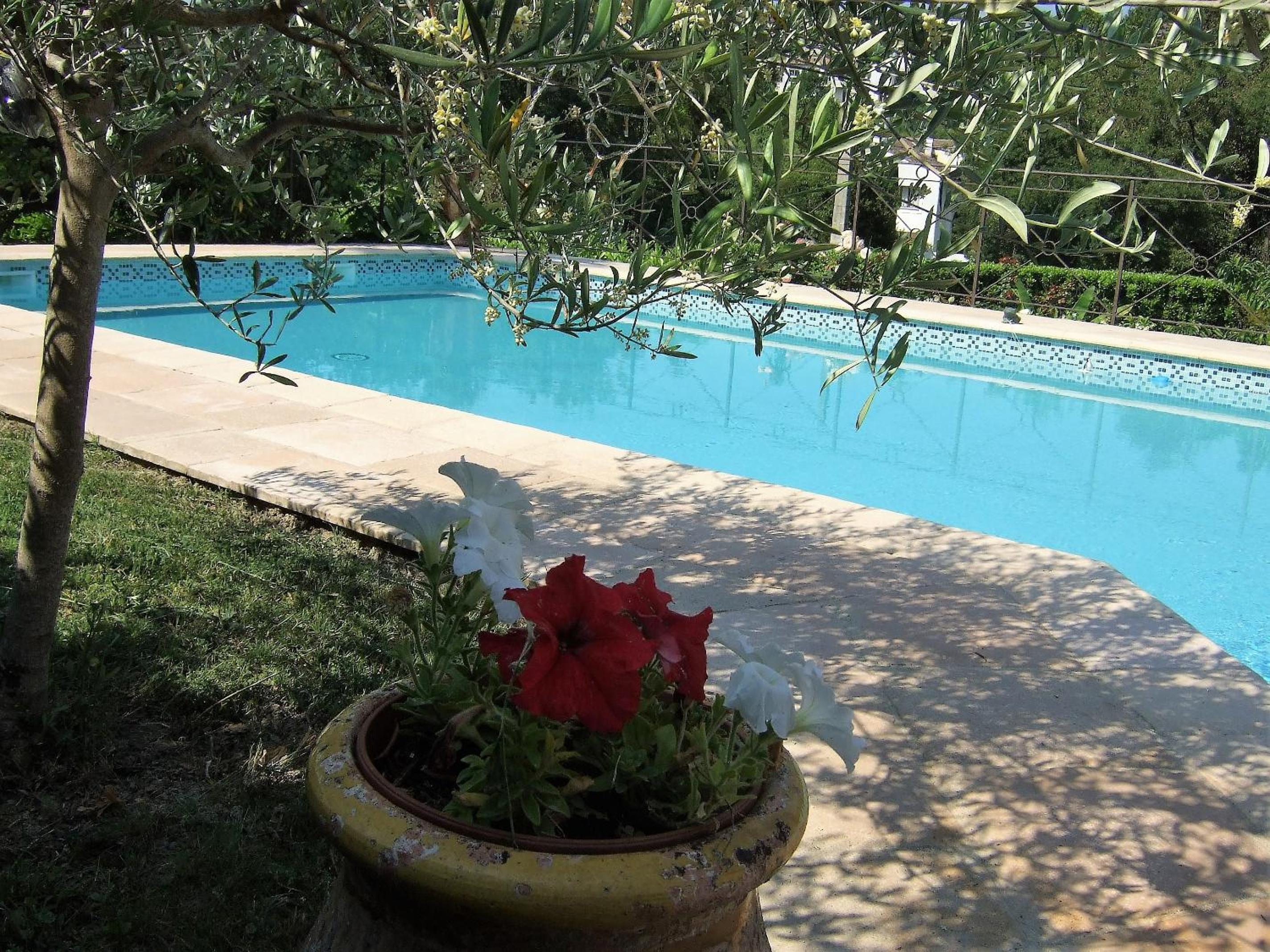 AU VALLON ROUGE (Studio) view 2