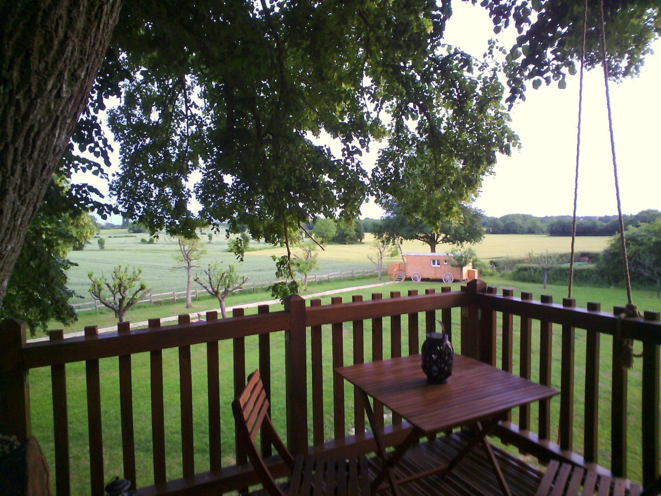 Photo 46
