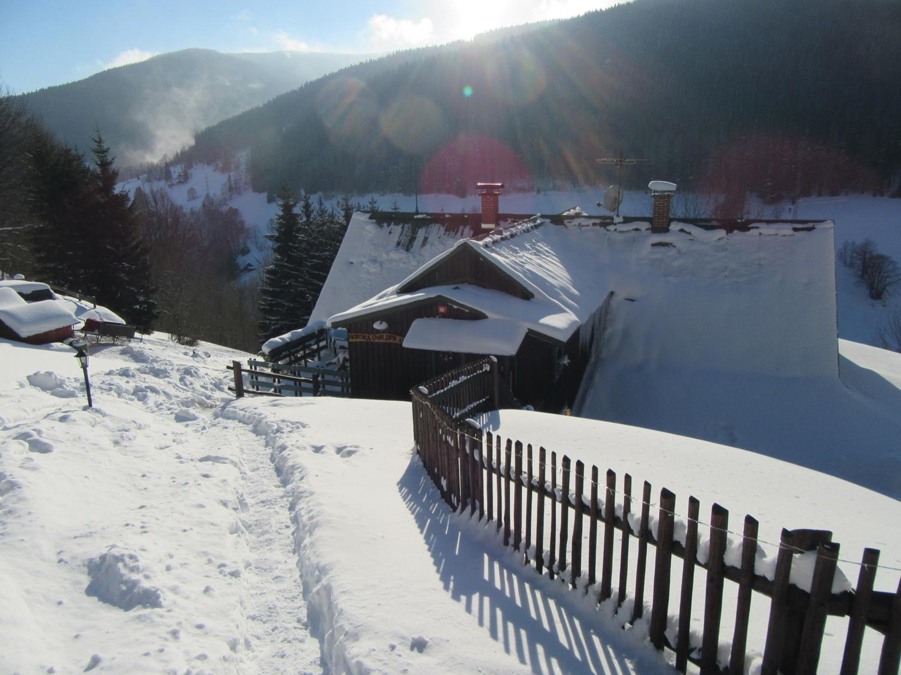Photo 44