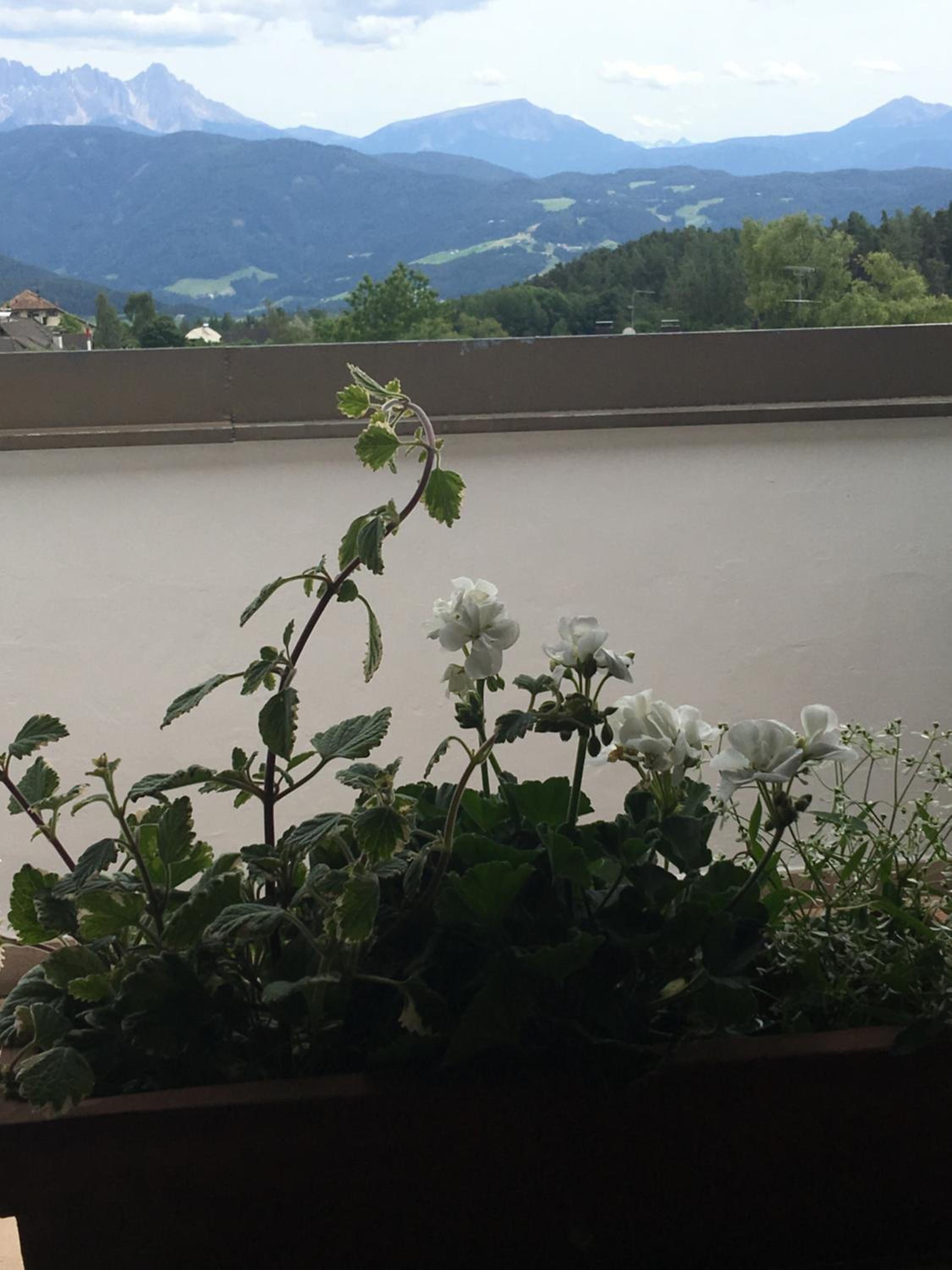 Appartamento Klobenstein view 2