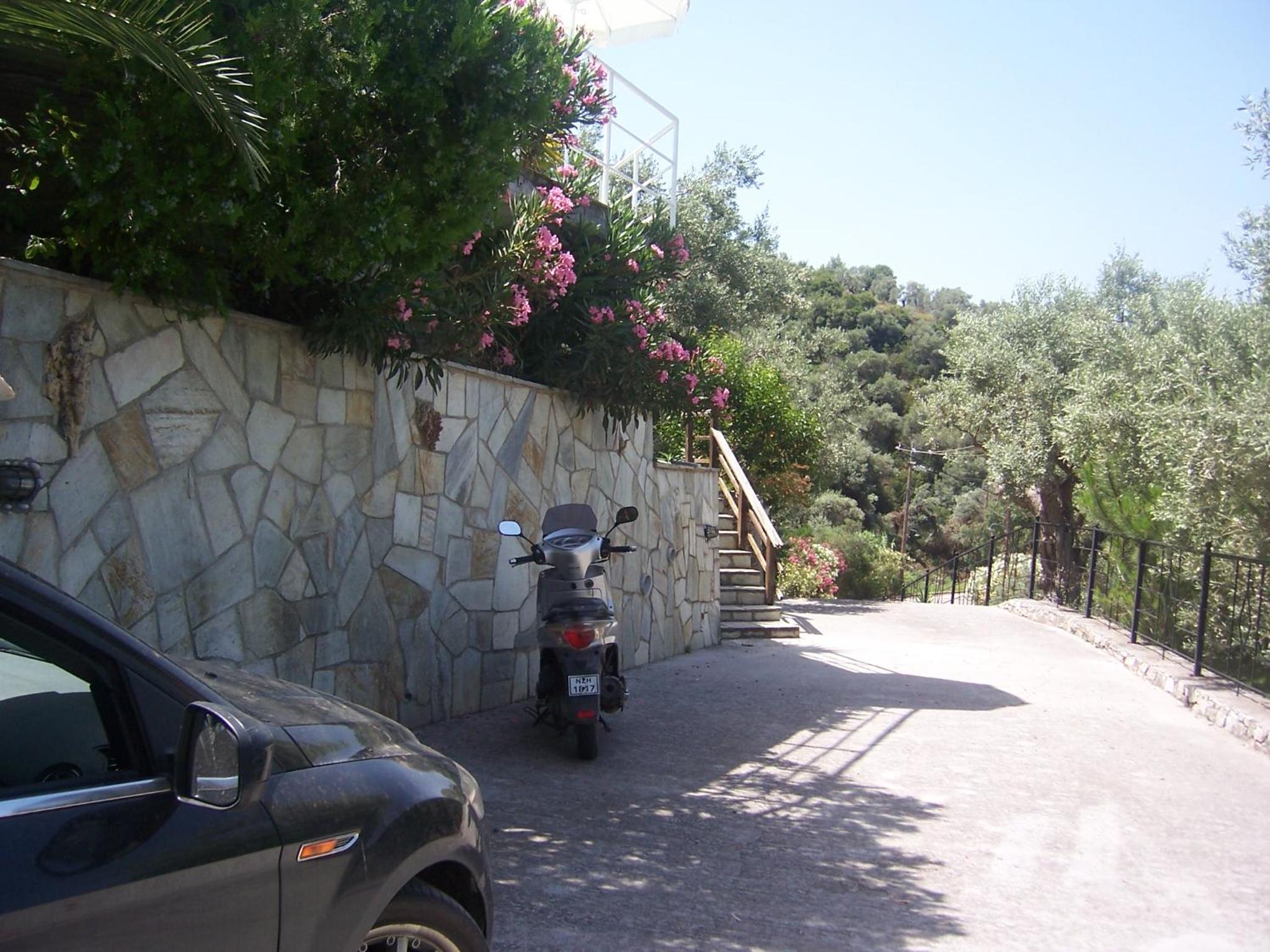 Photo 45