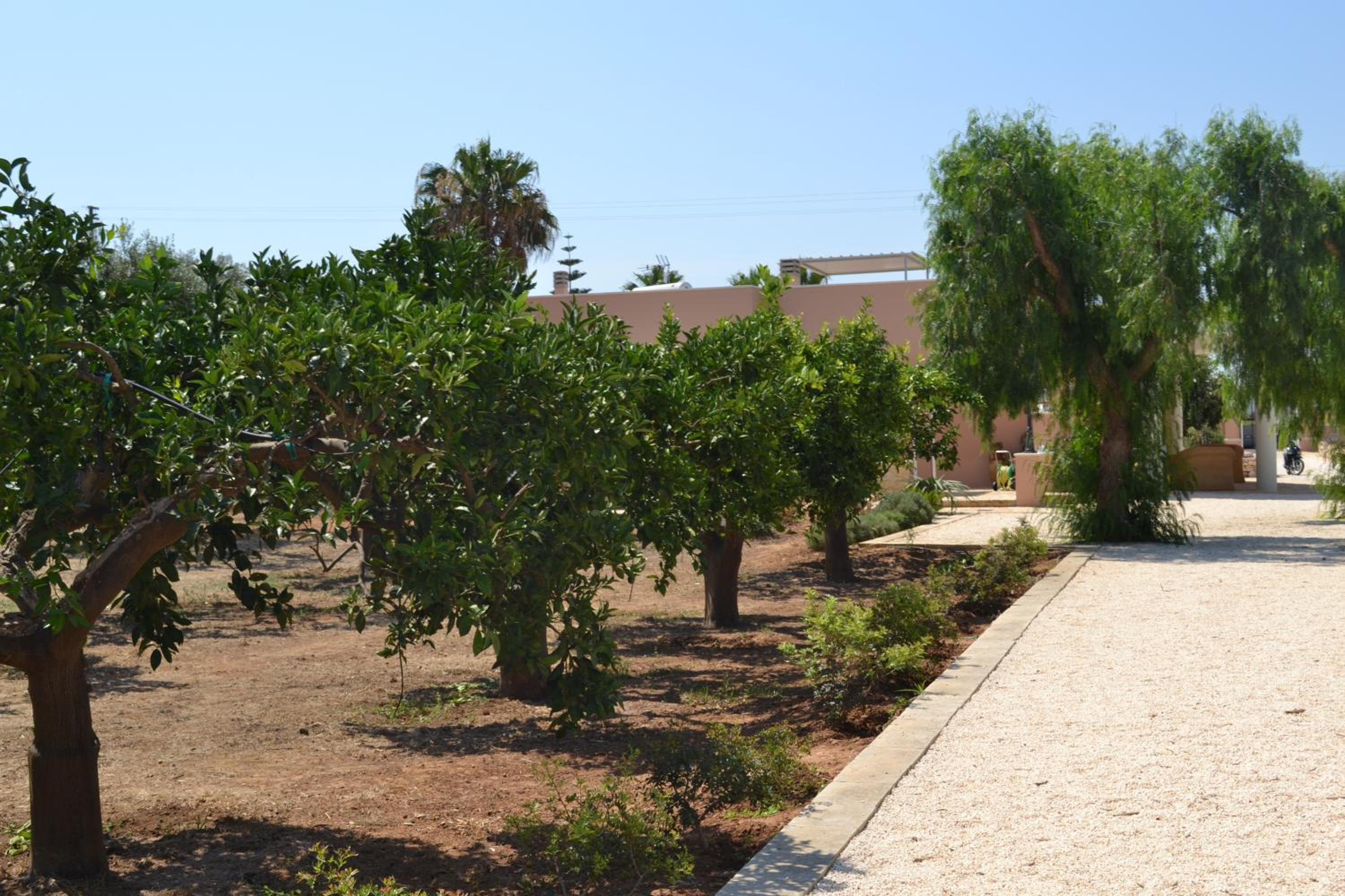 Tenuta Arate