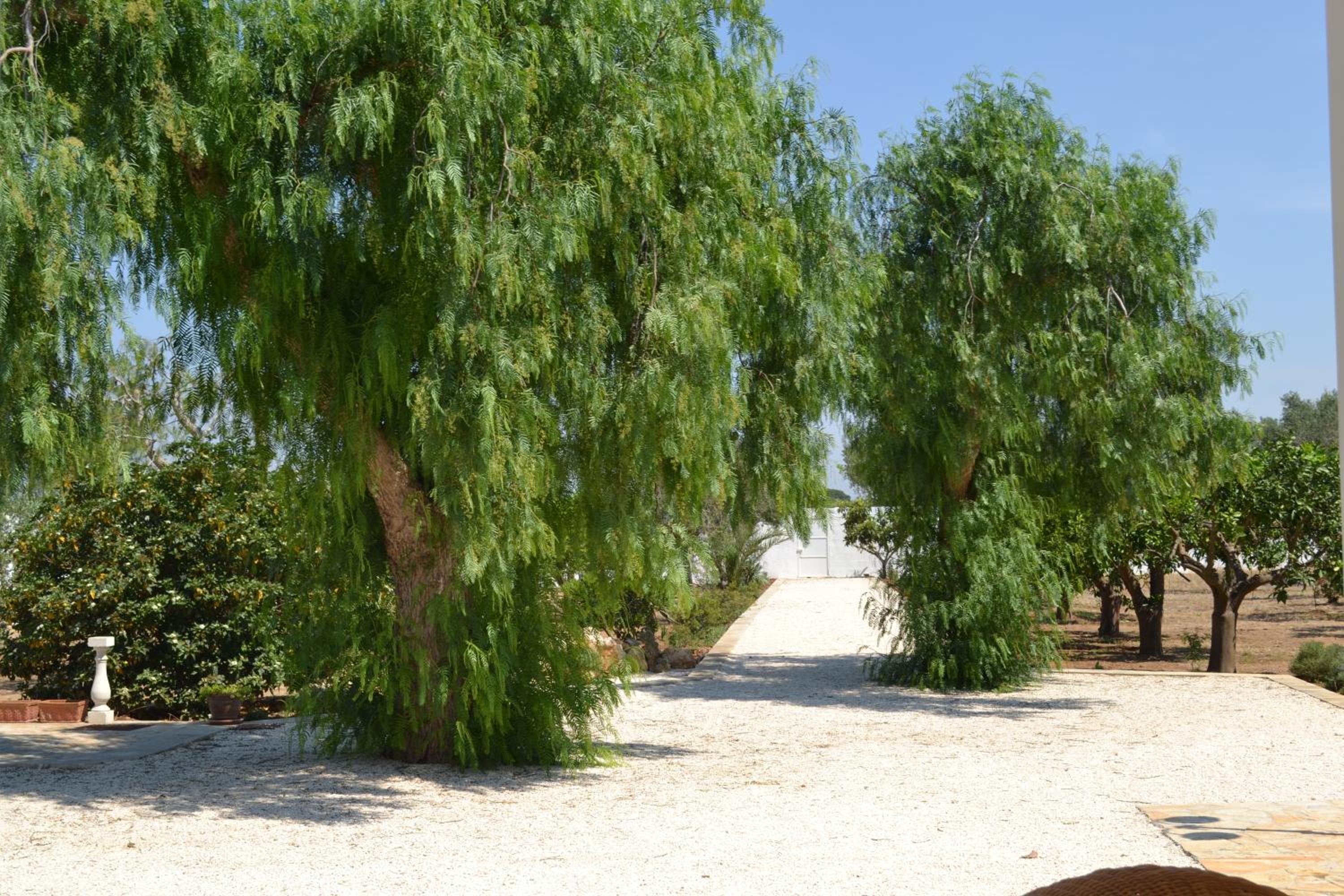 Tenuta Arate