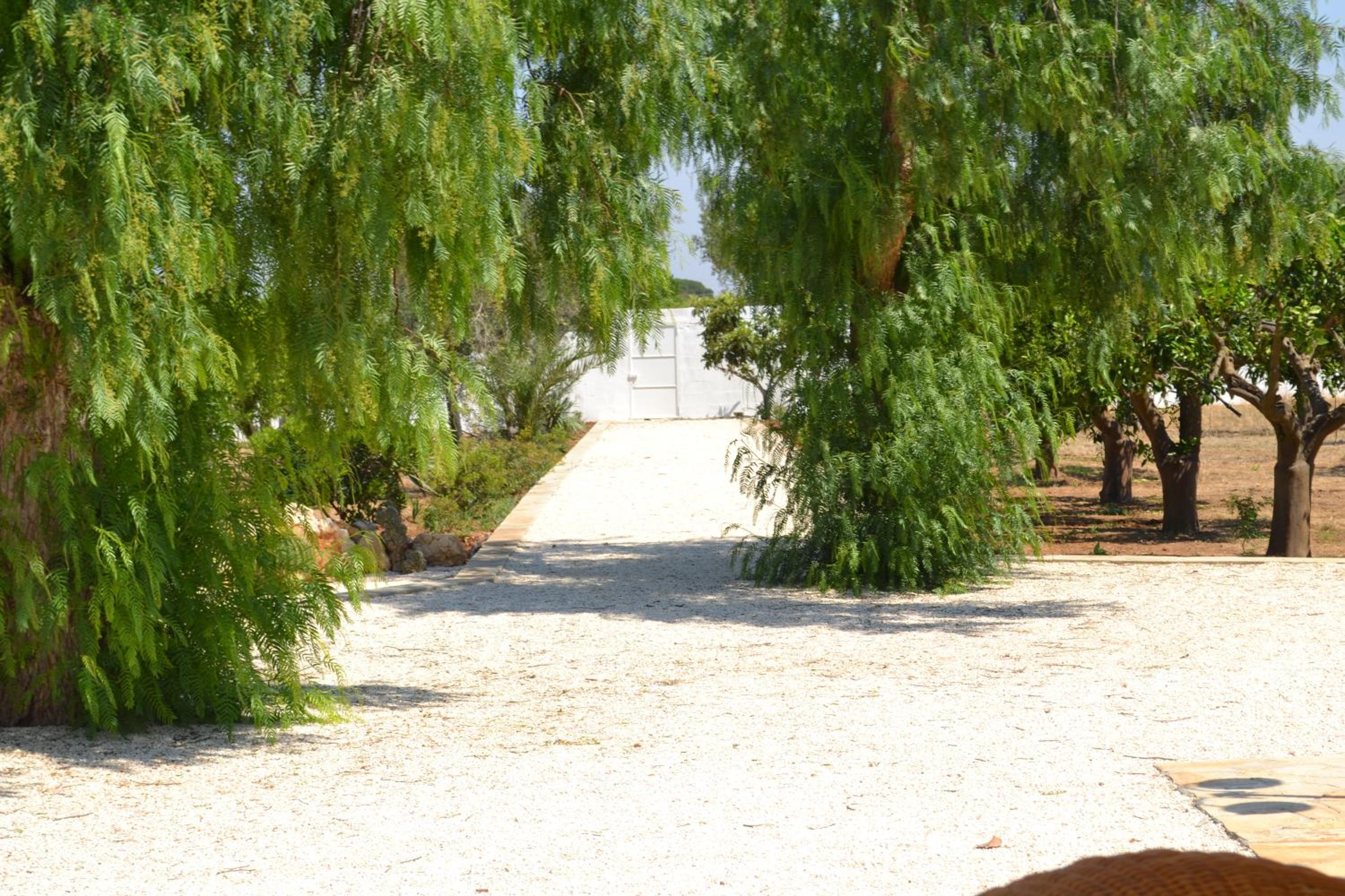 Tenuta Arate