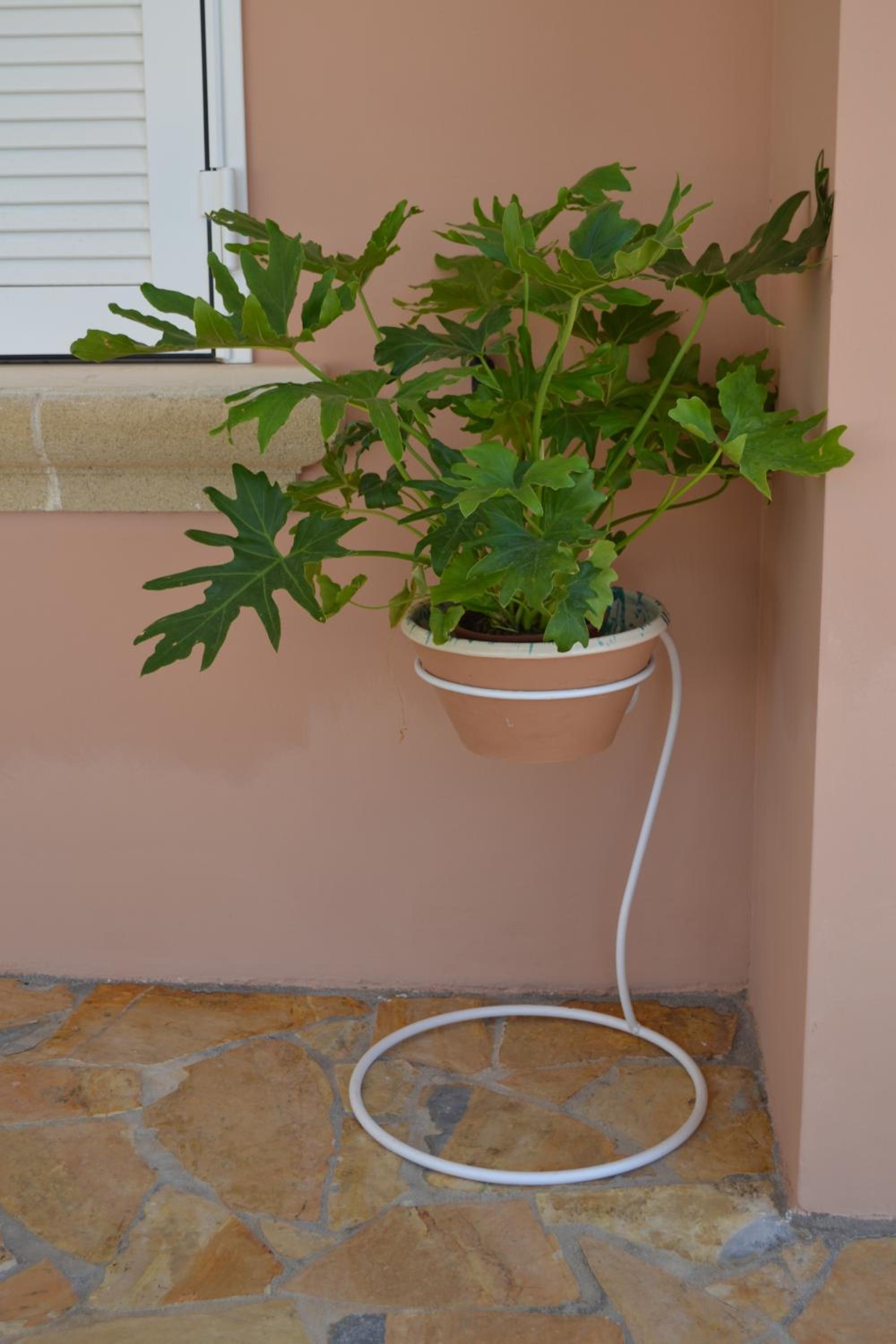 Tenuta Arate