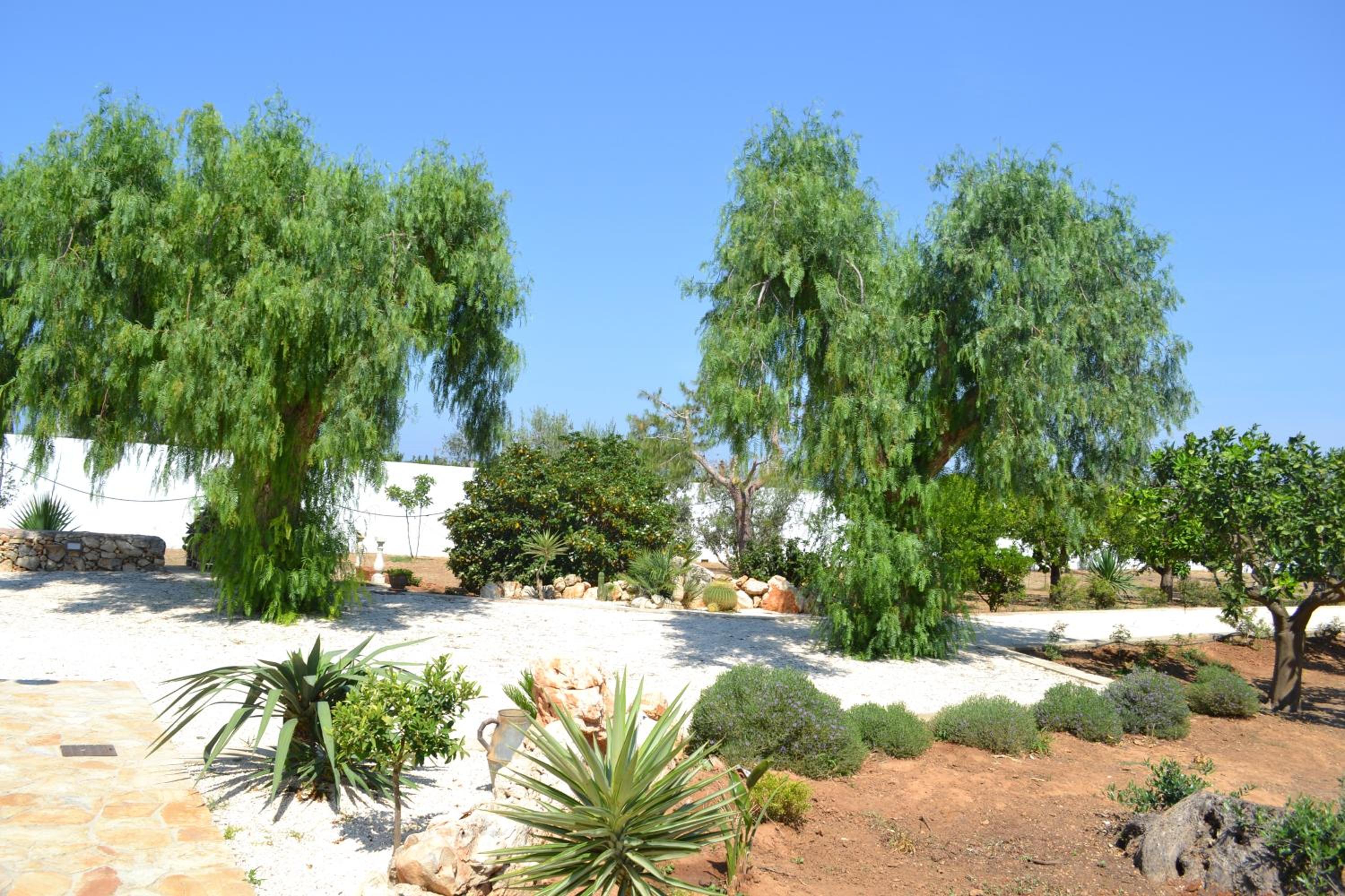 Tenuta Arate