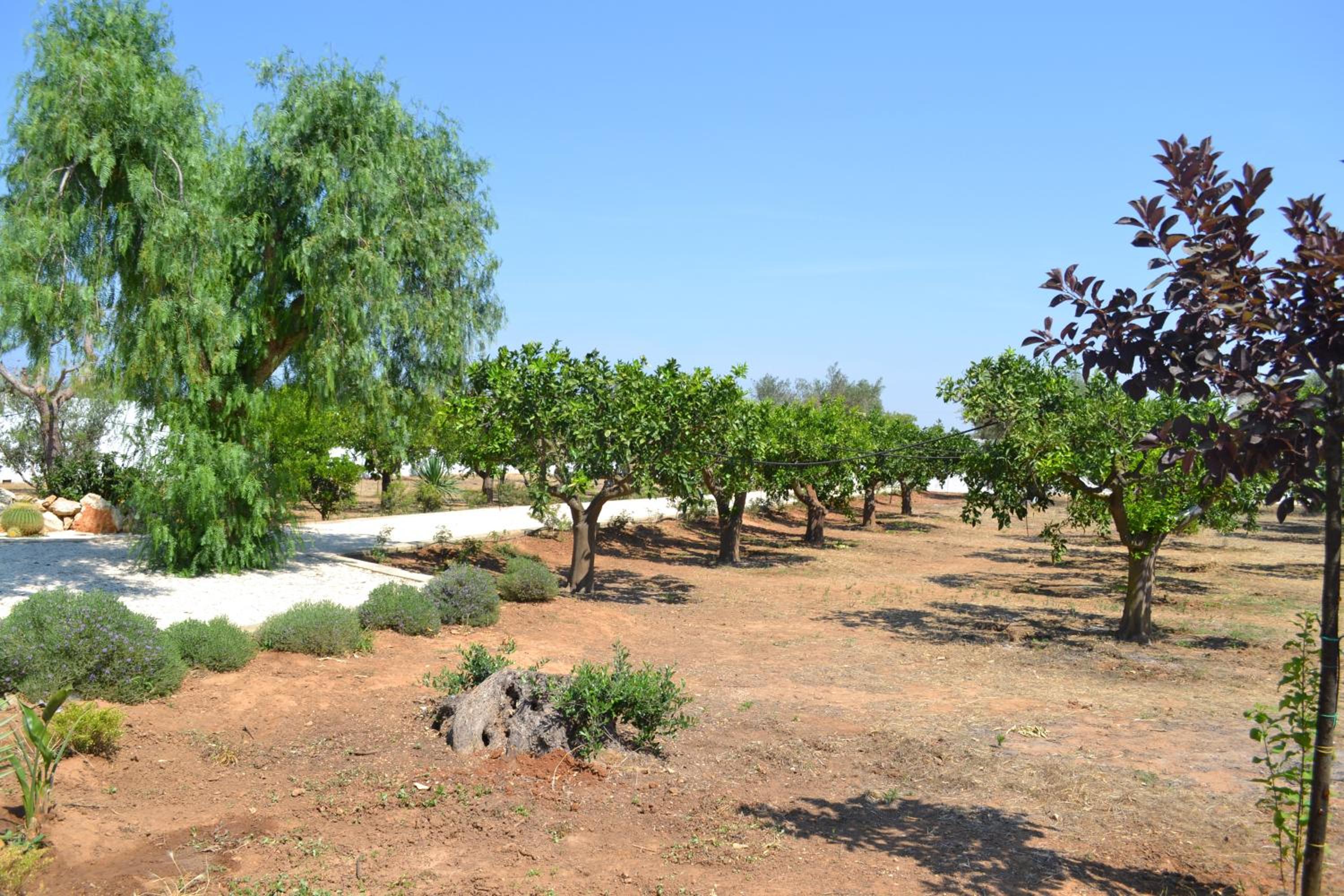 Tenuta Arate