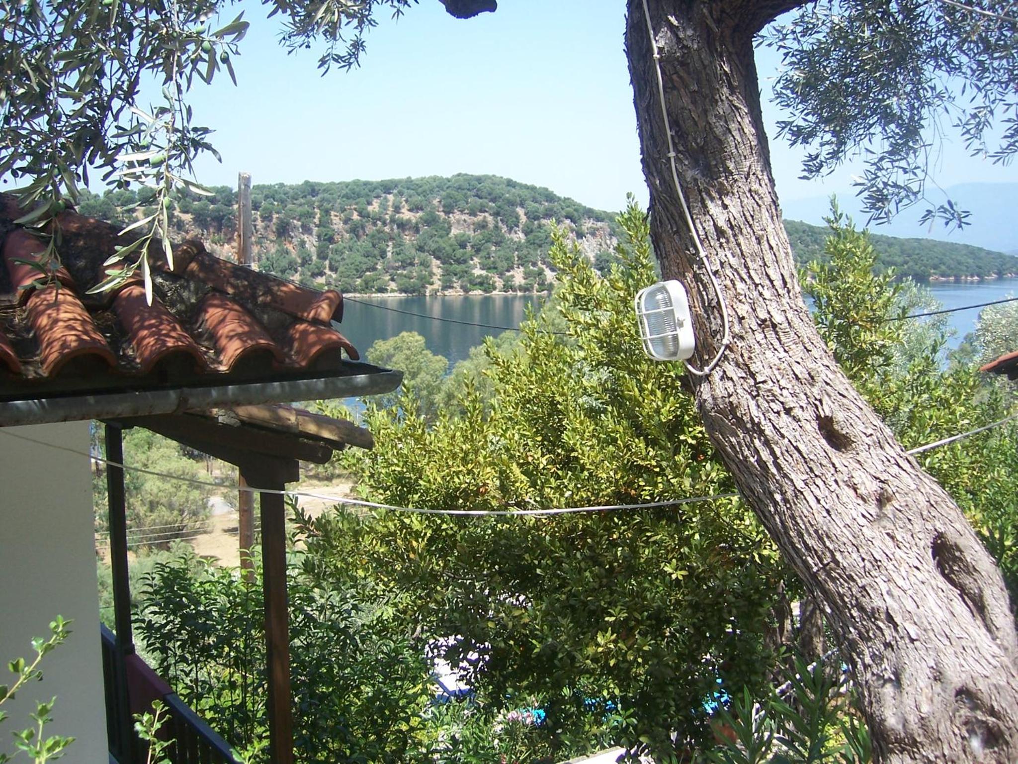 Photo 40