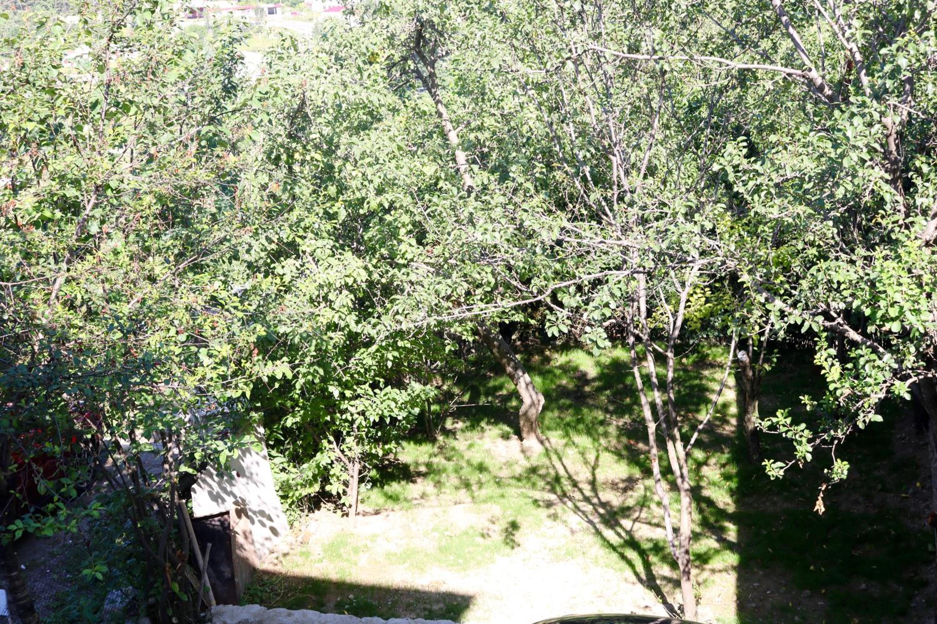 Dilijan Family House