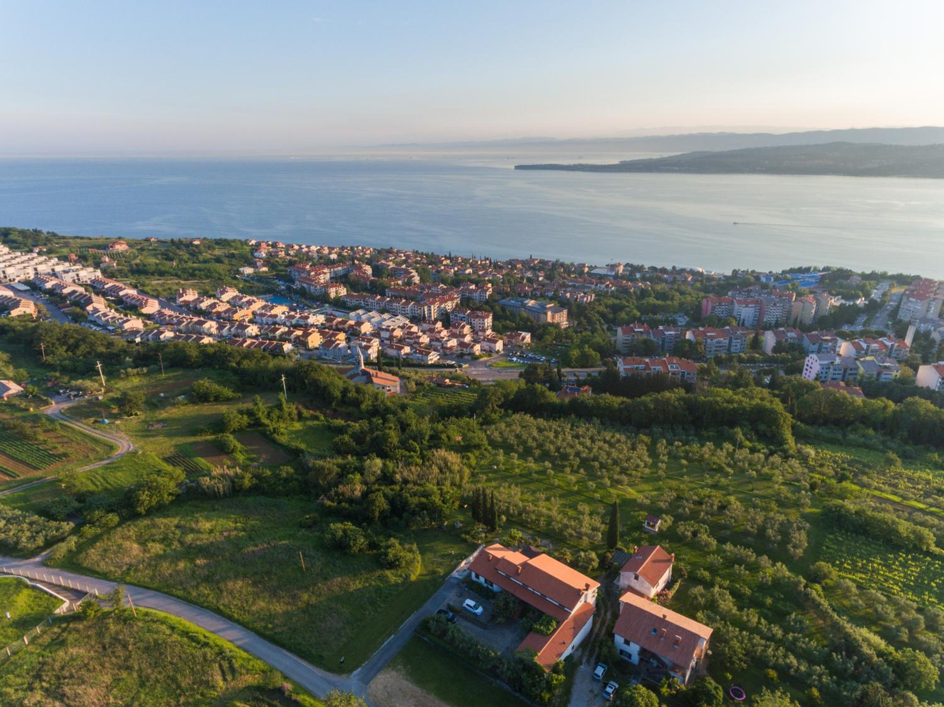 Med oljkami Apartment view 3