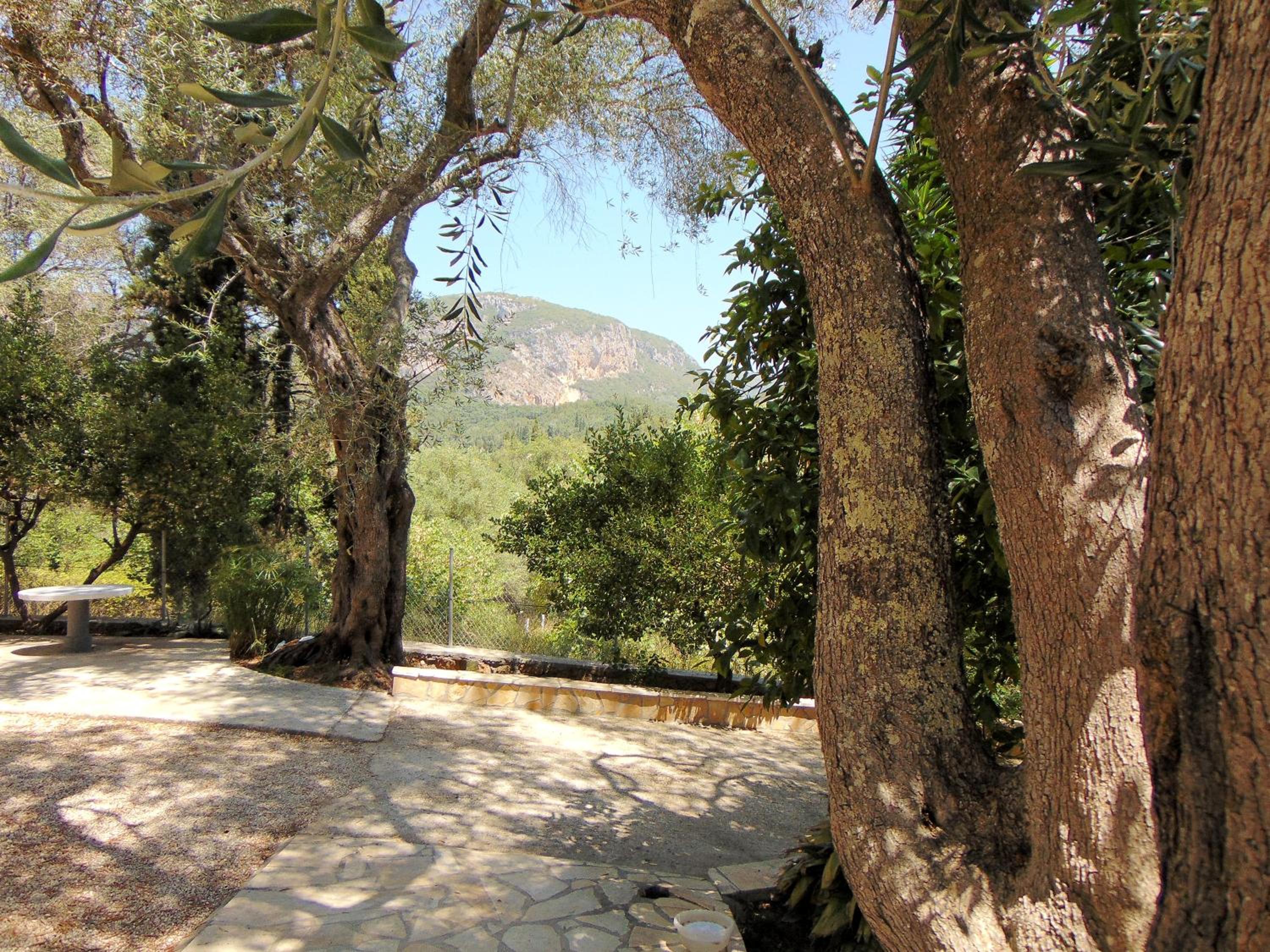 Photo 28