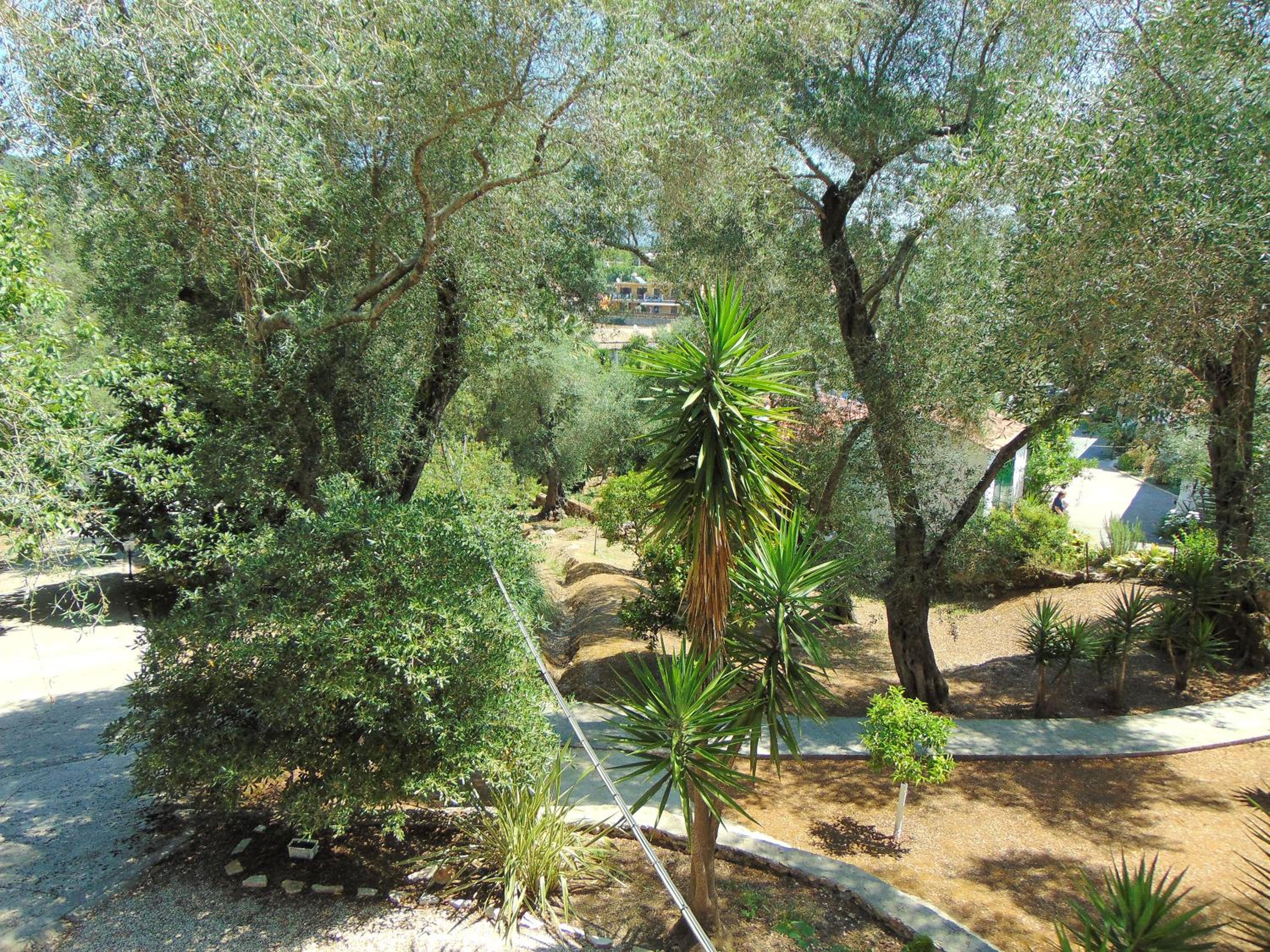 Photo 27