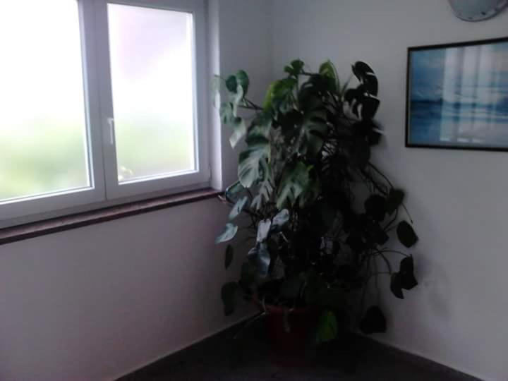 Photo 54