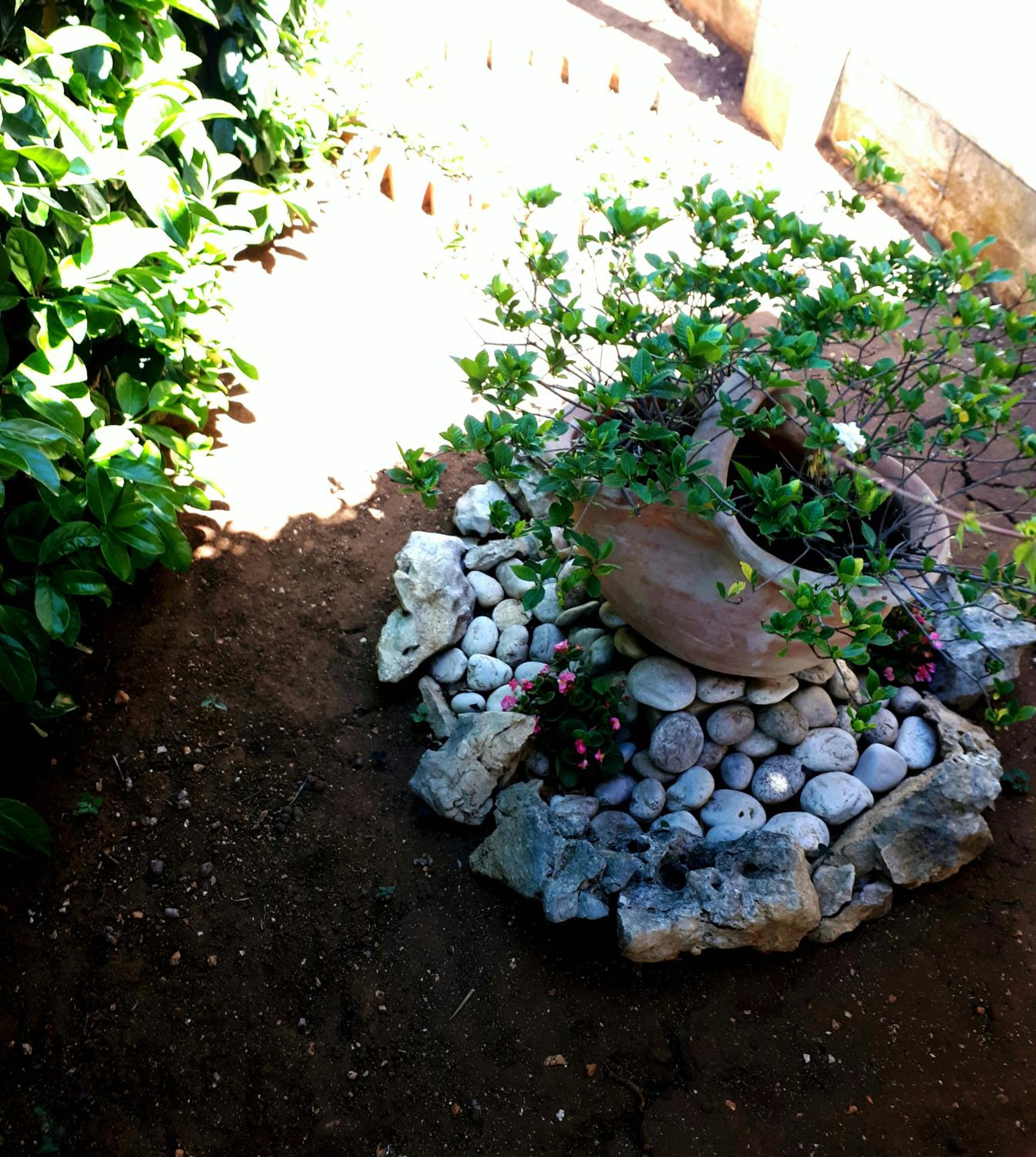 Photo 58