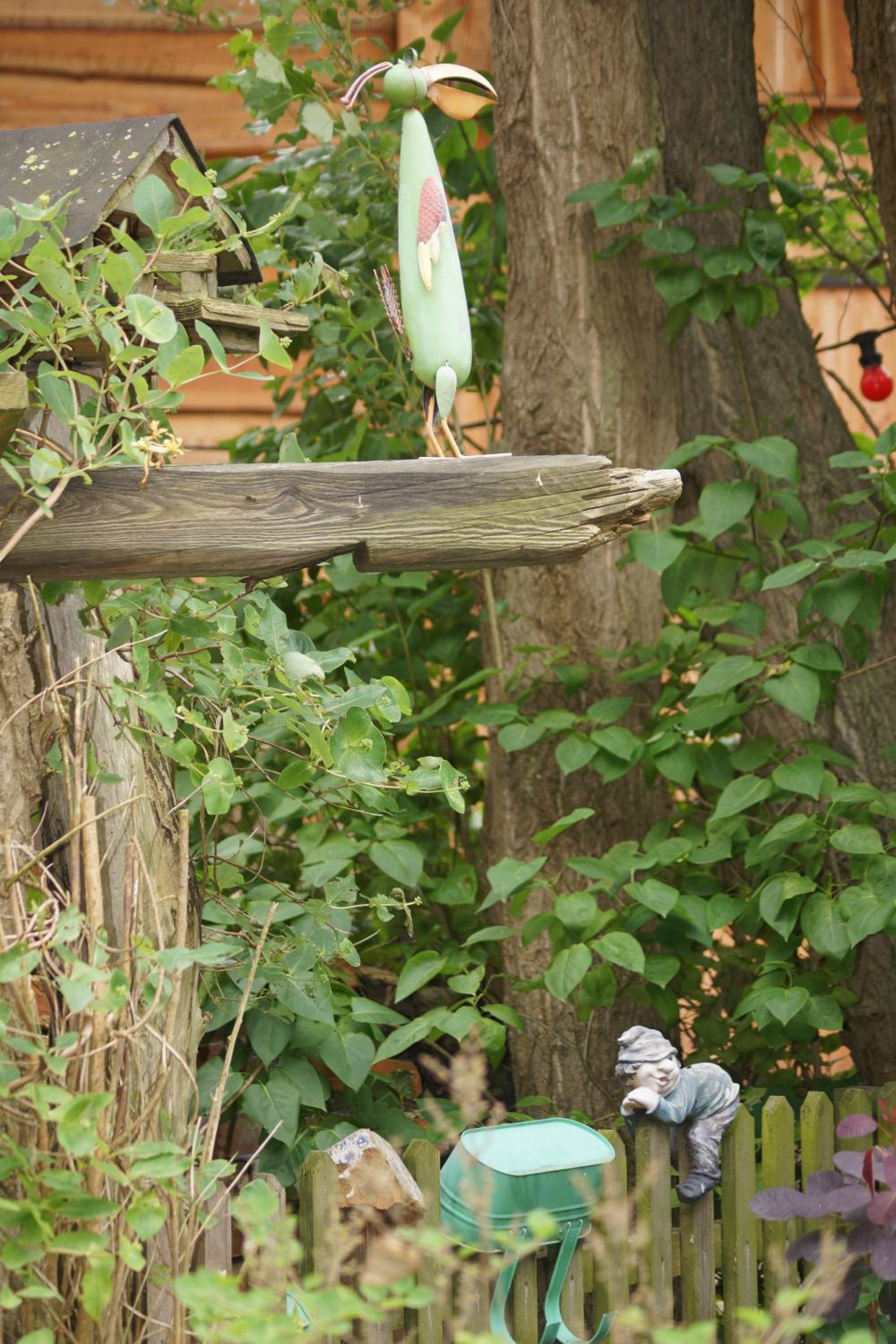 Photo 44