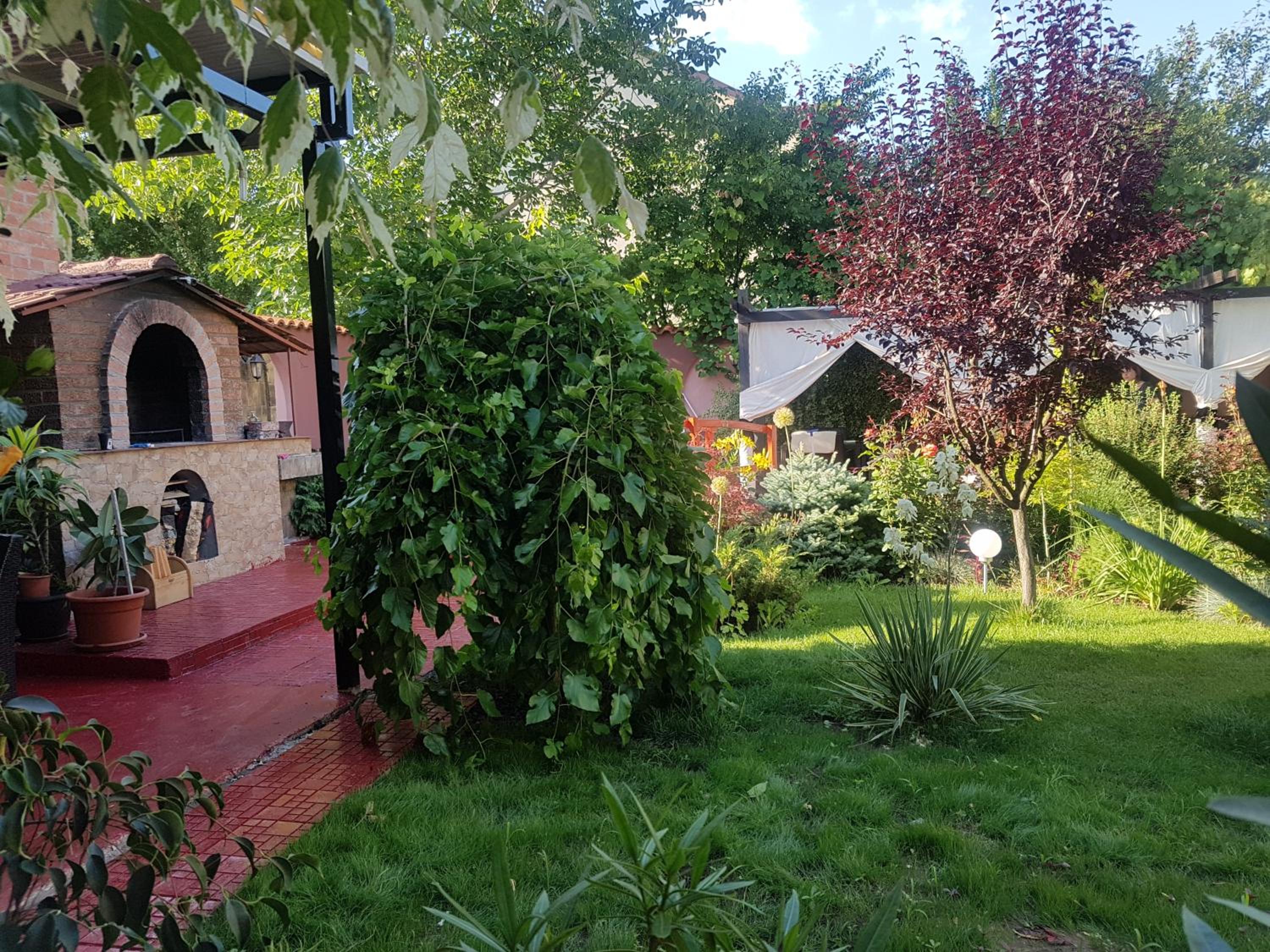 Photo 17