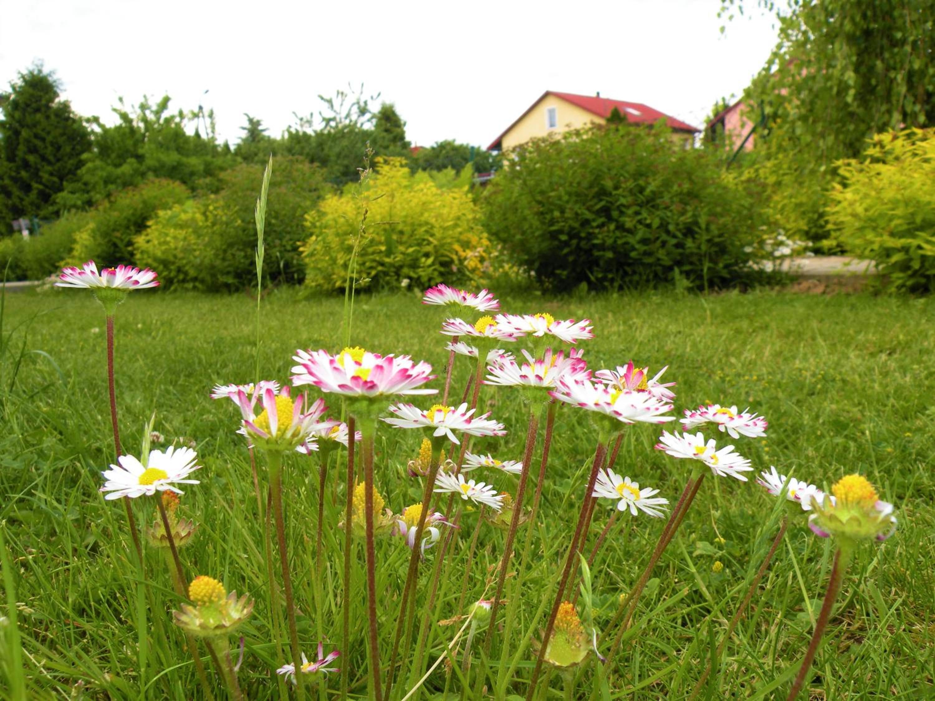 Photo 47