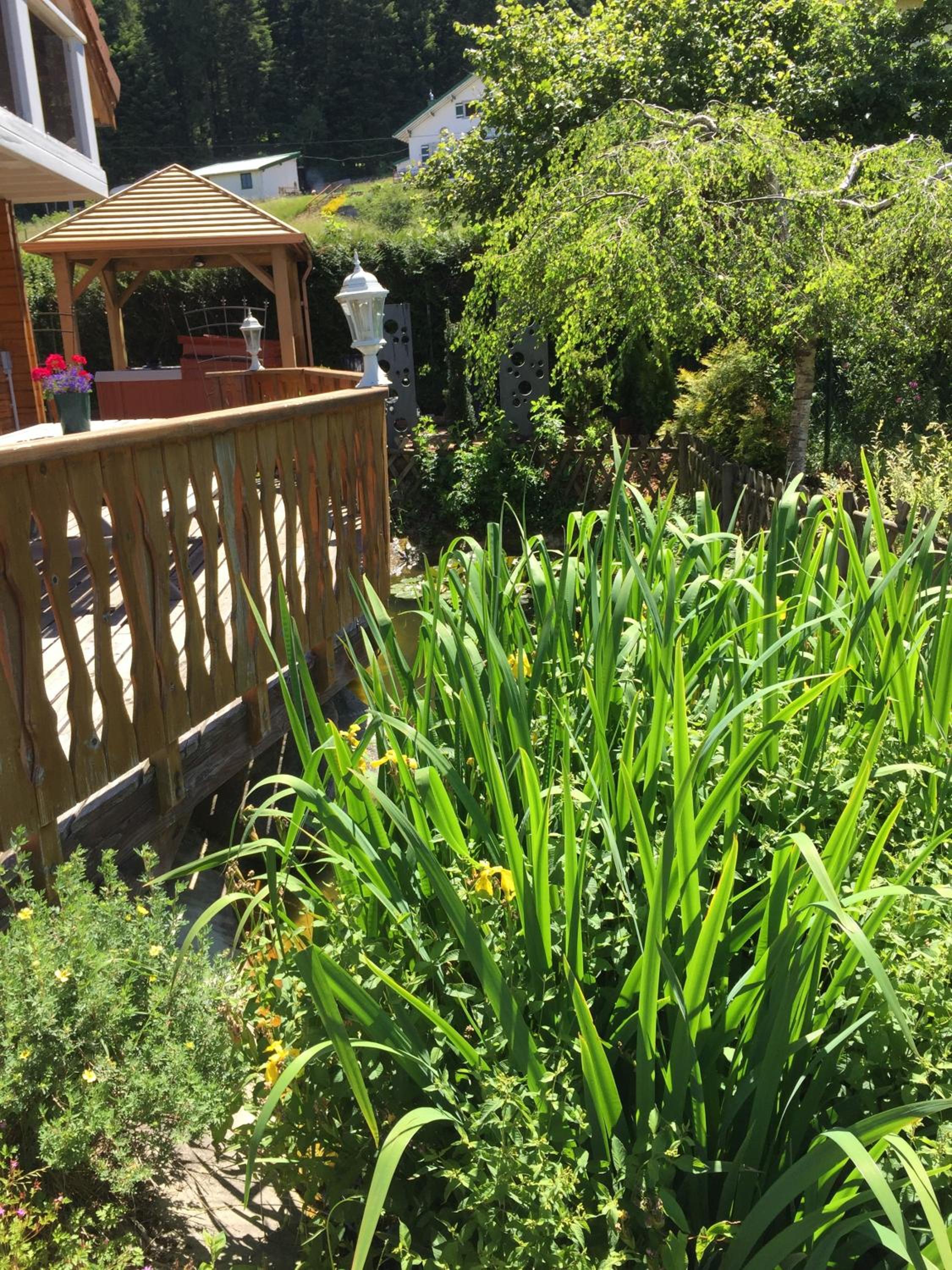 Photo 19