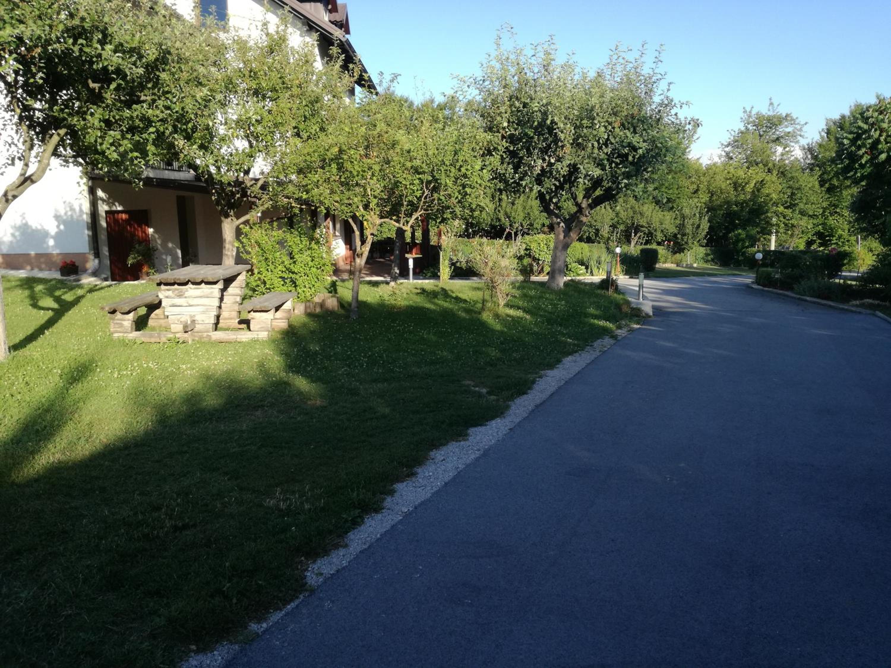 Photo 53
