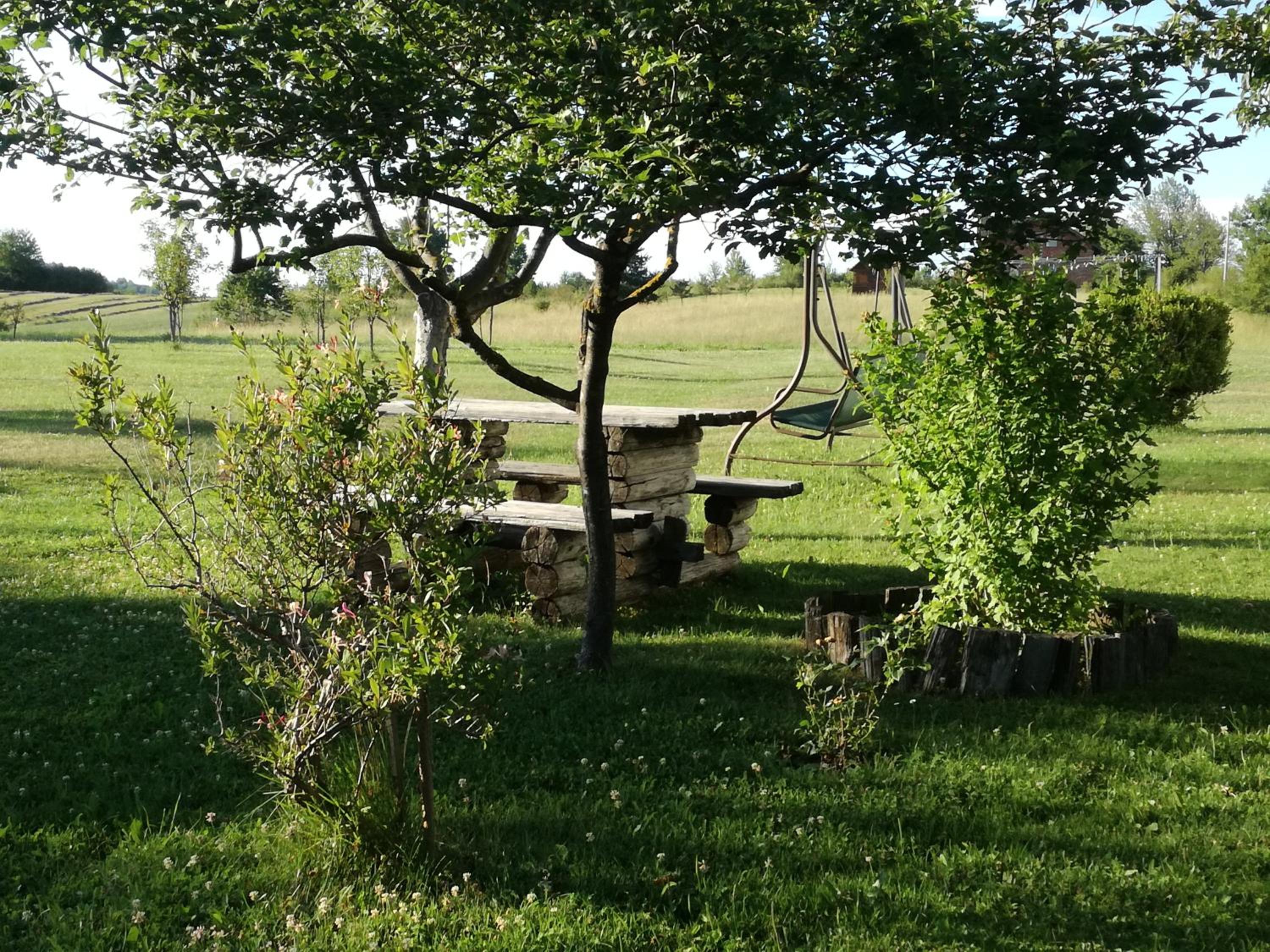 Photo 50