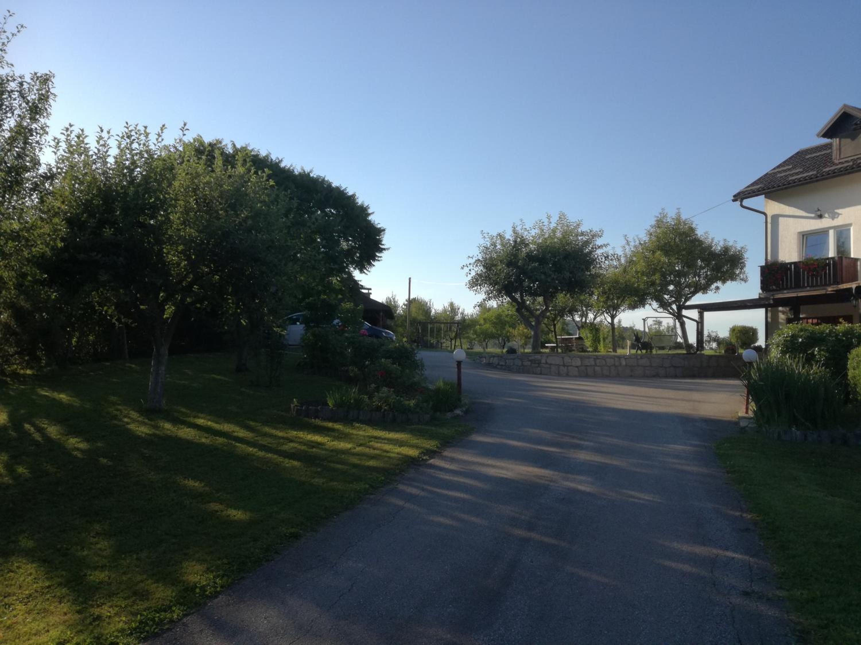 Photo 48