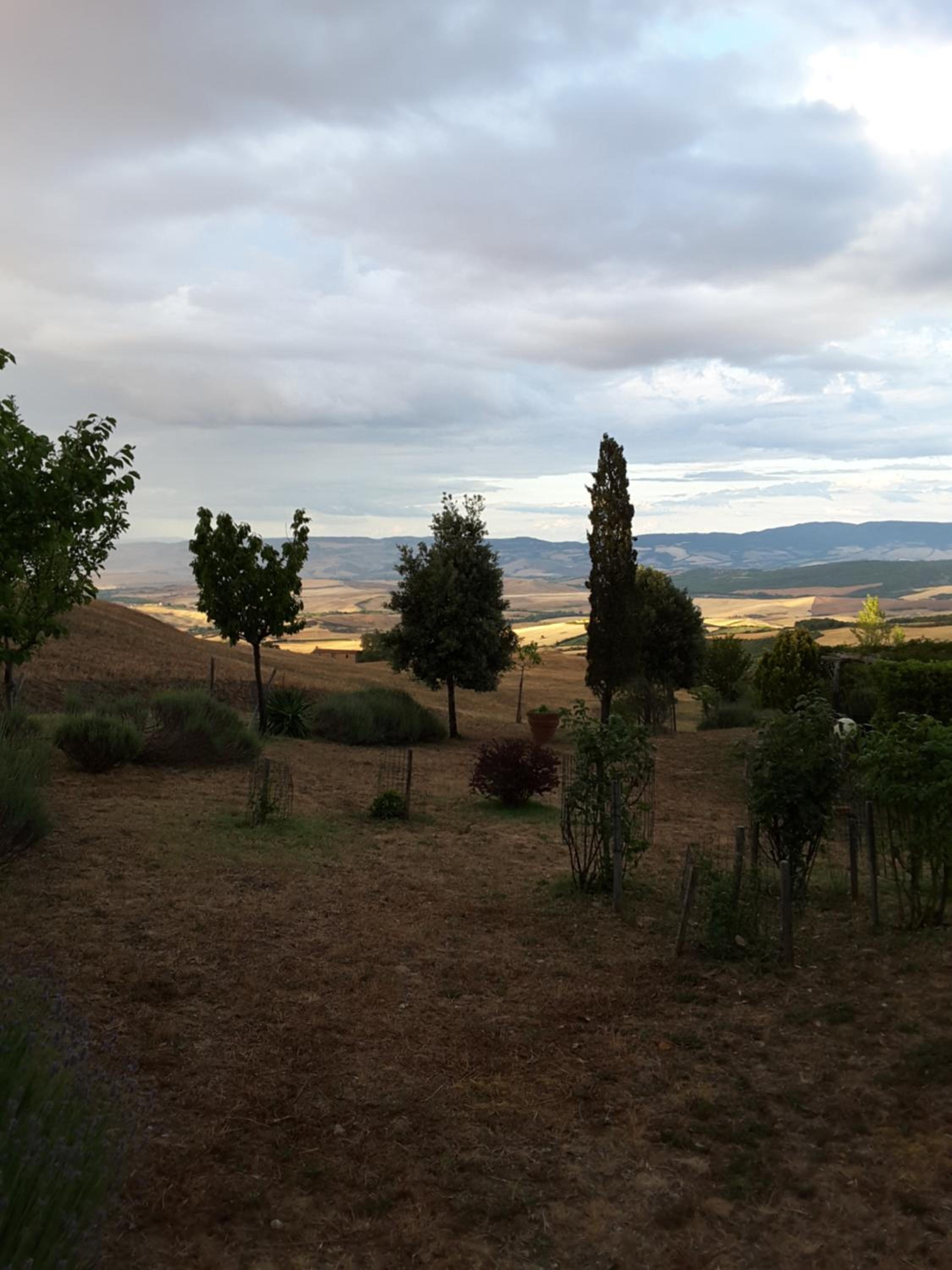 Photo 39