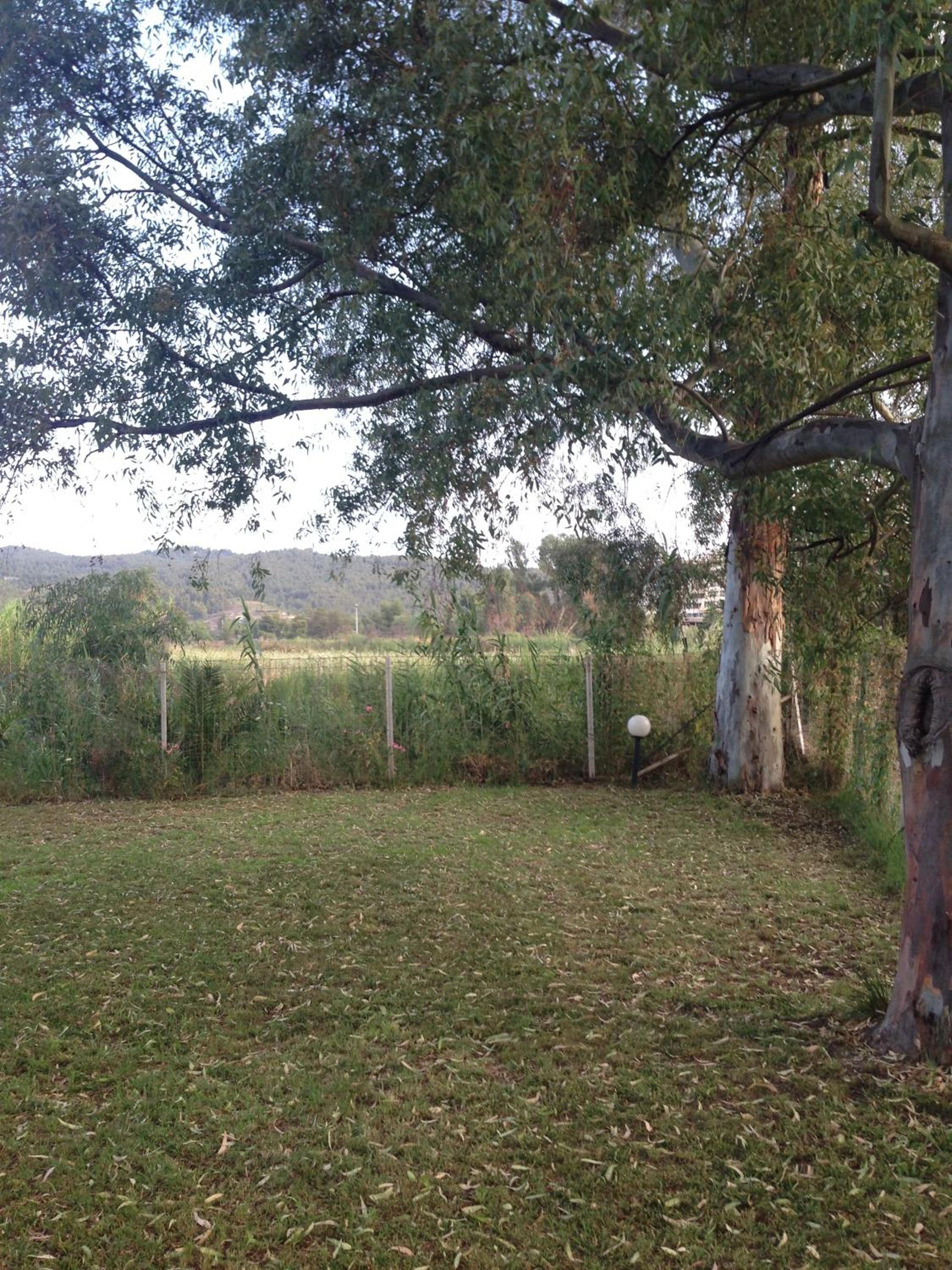 Photo 30