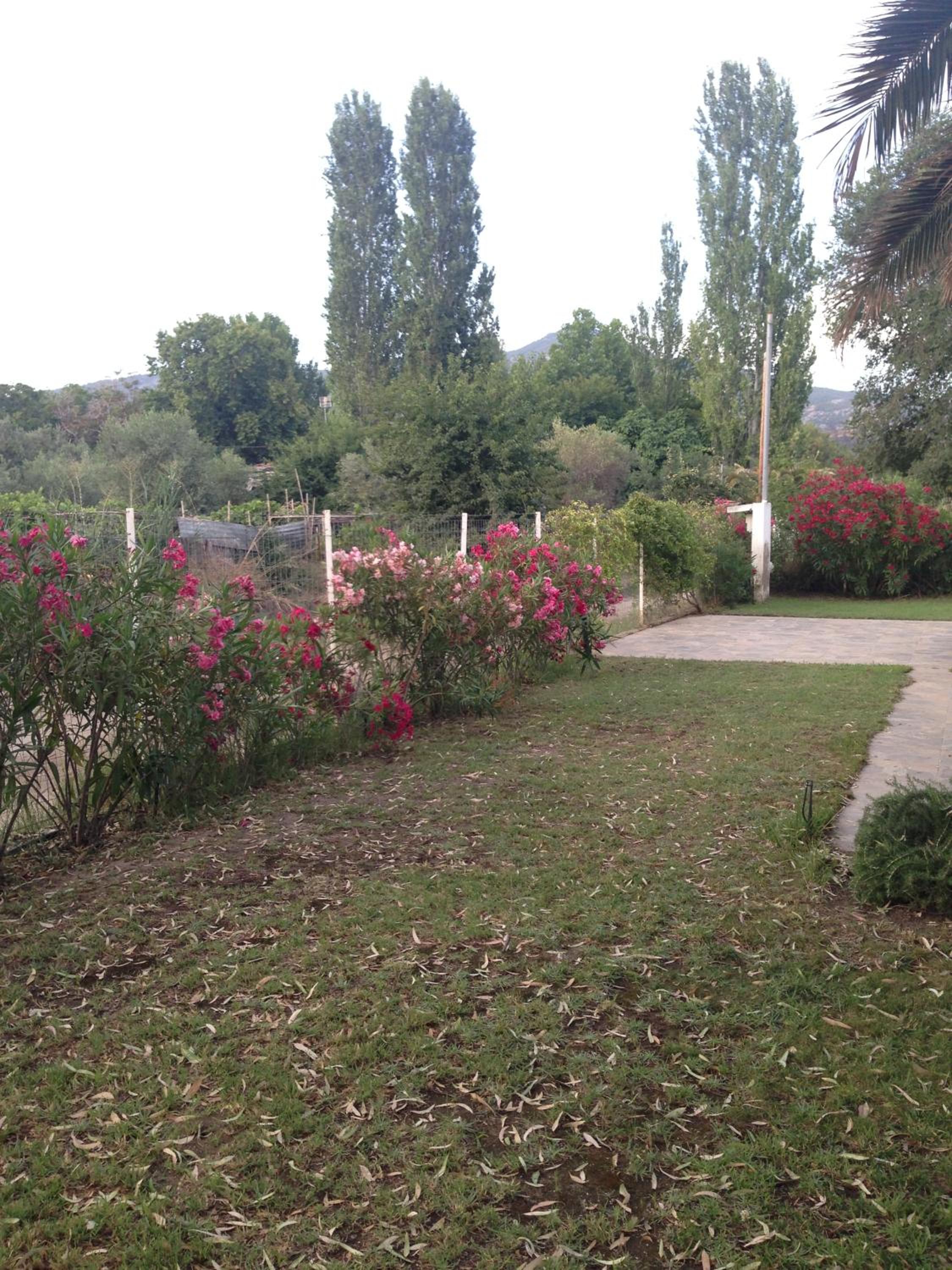 Photo 33