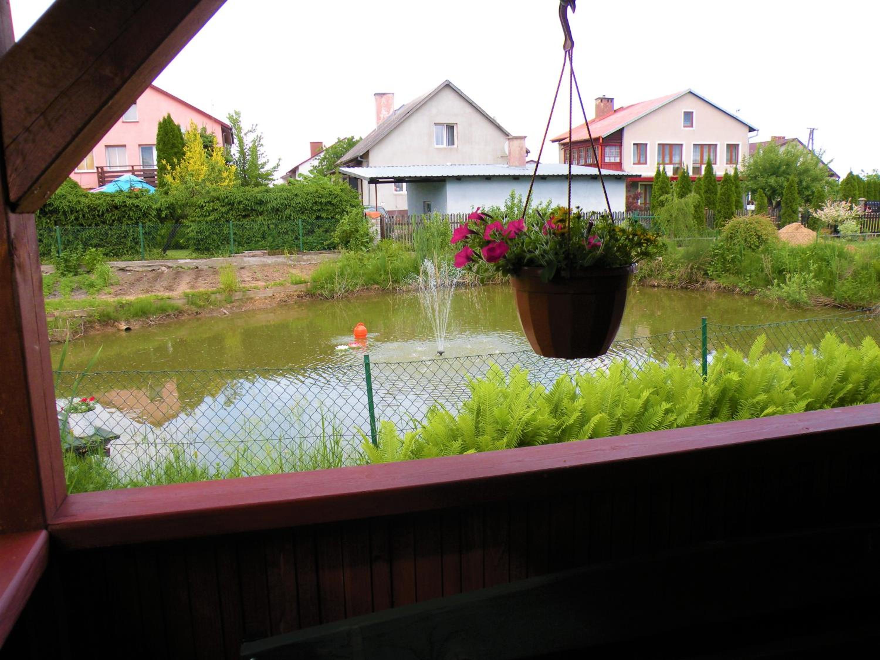 Photo 42