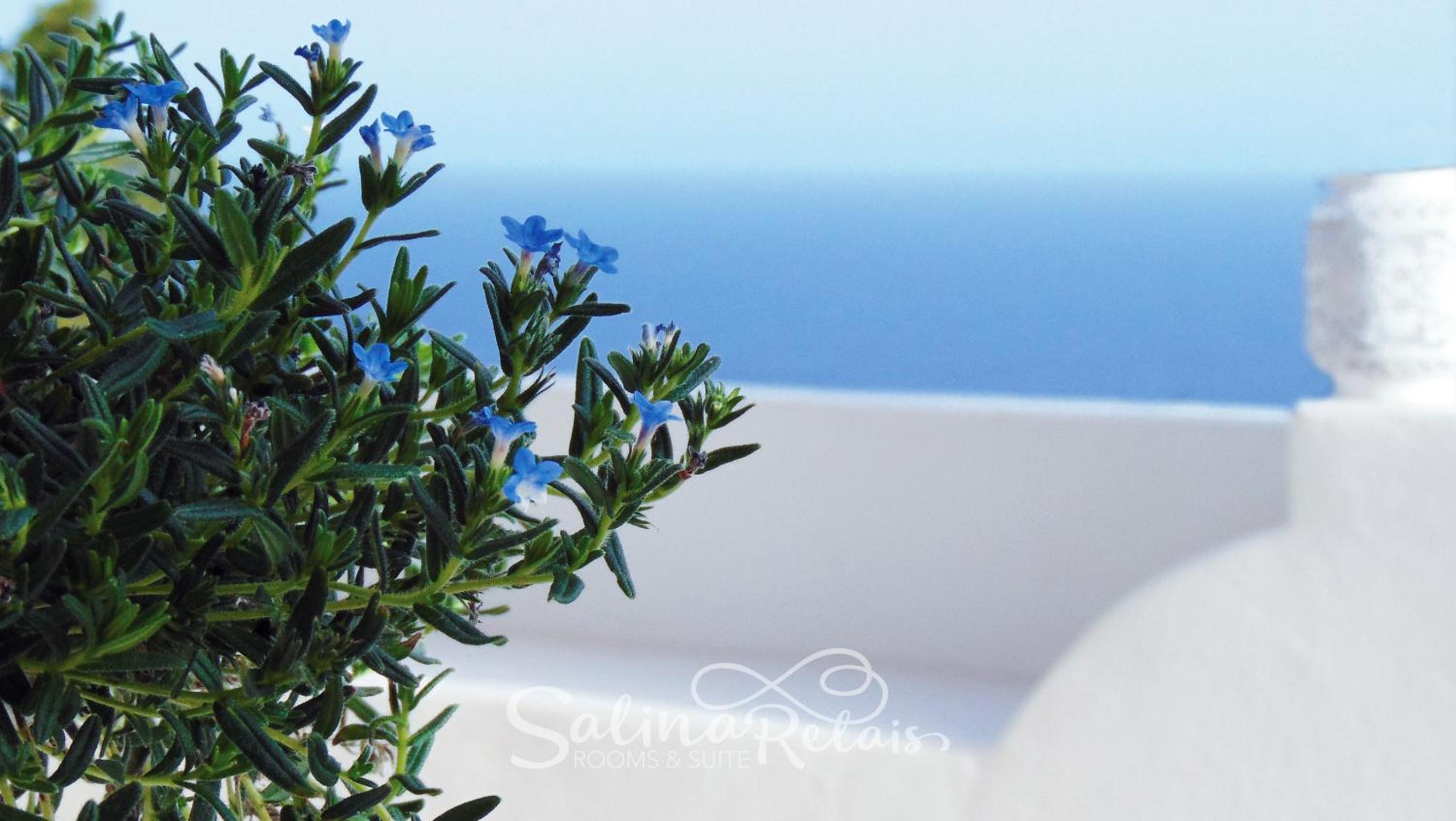 SalinaRelax Rooms&Suite