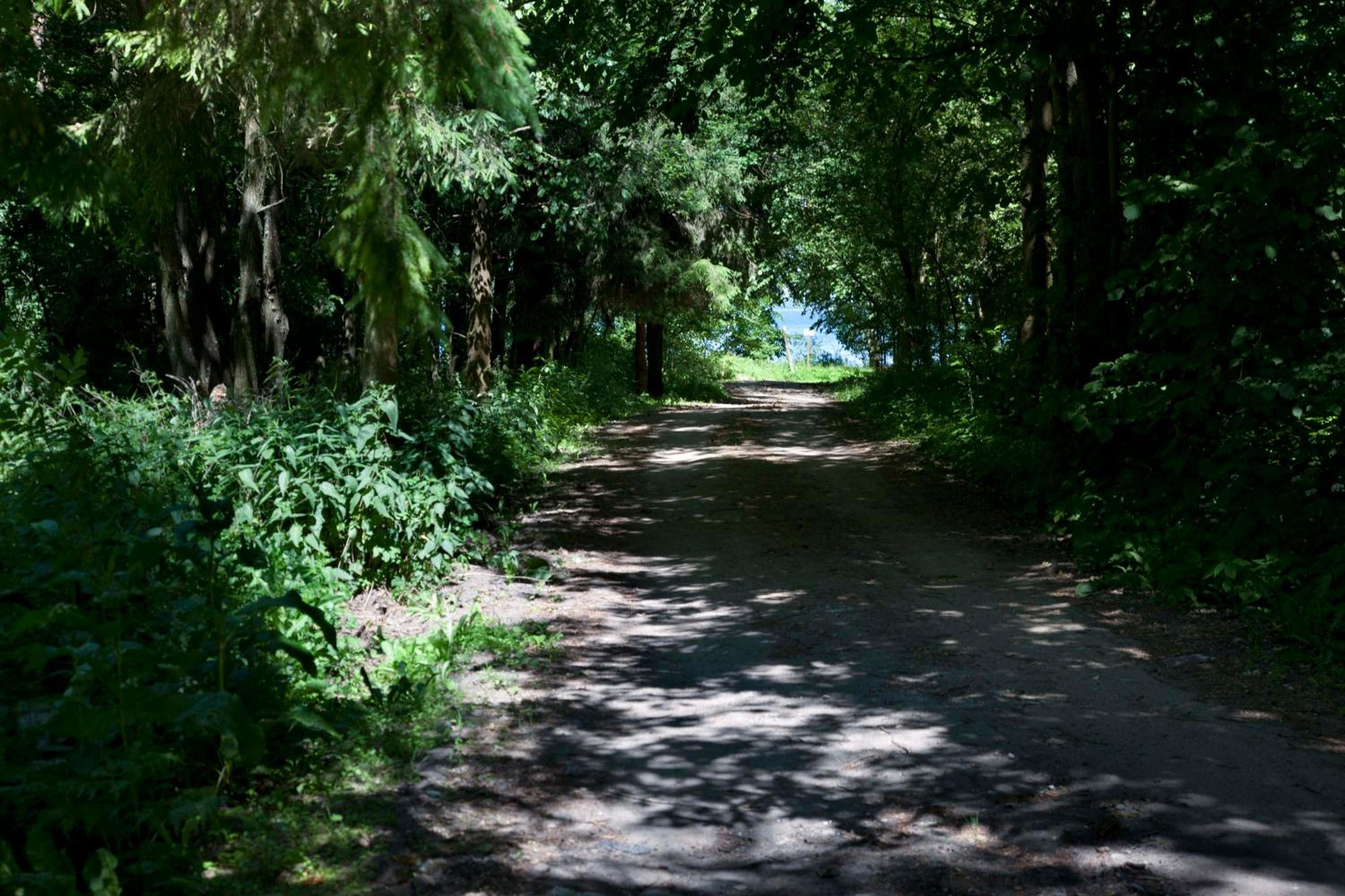 Photo 22