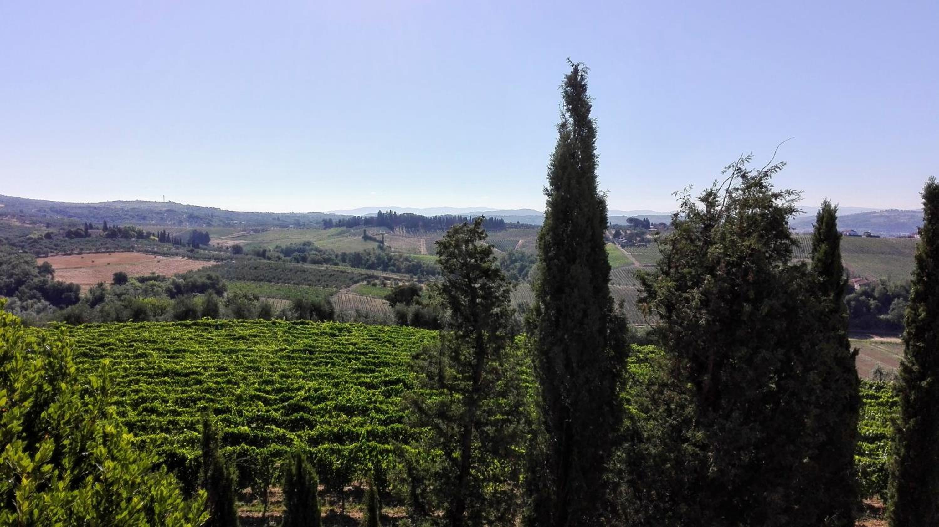Agriturismo Luggiano