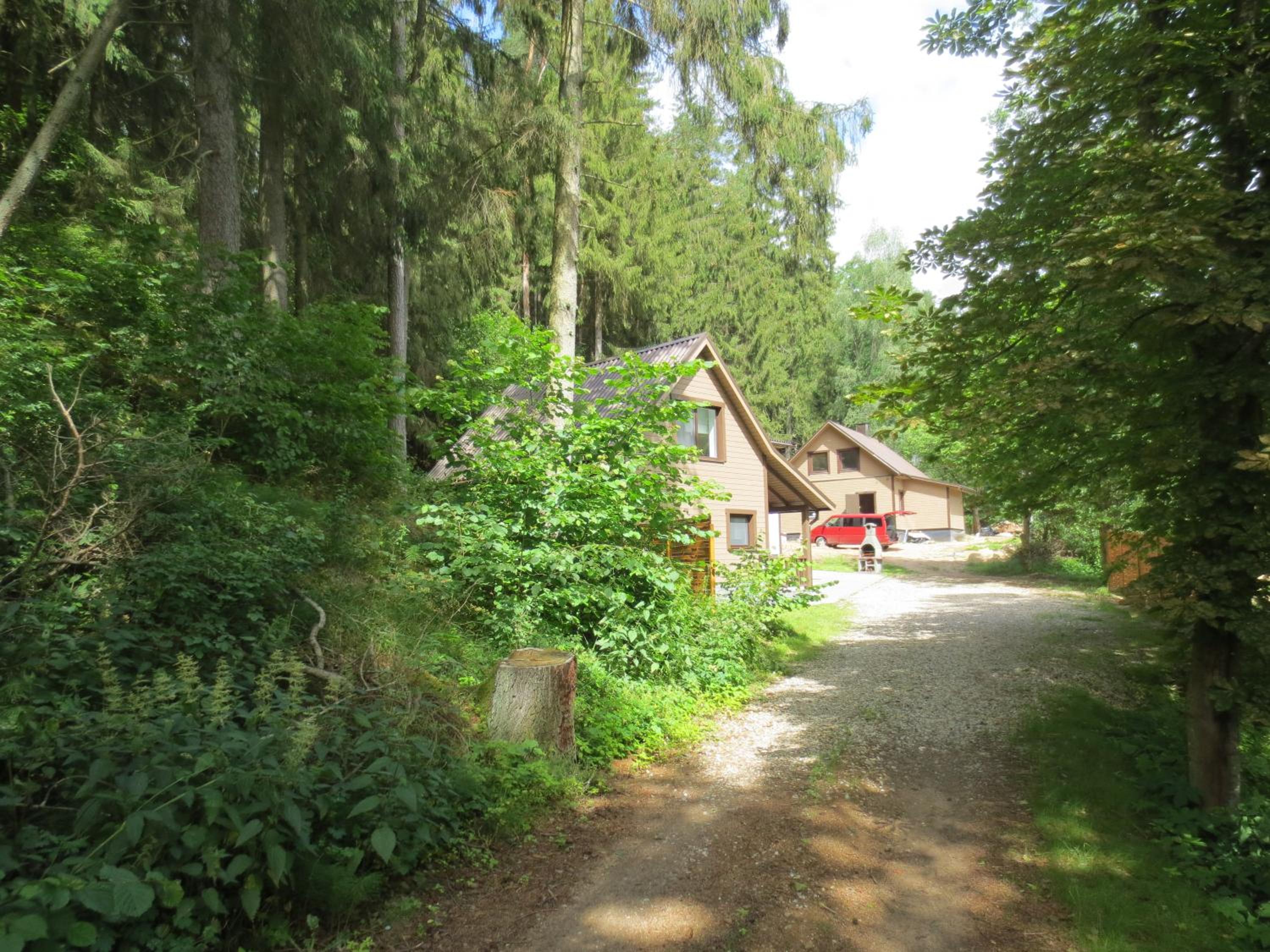 Photo 8