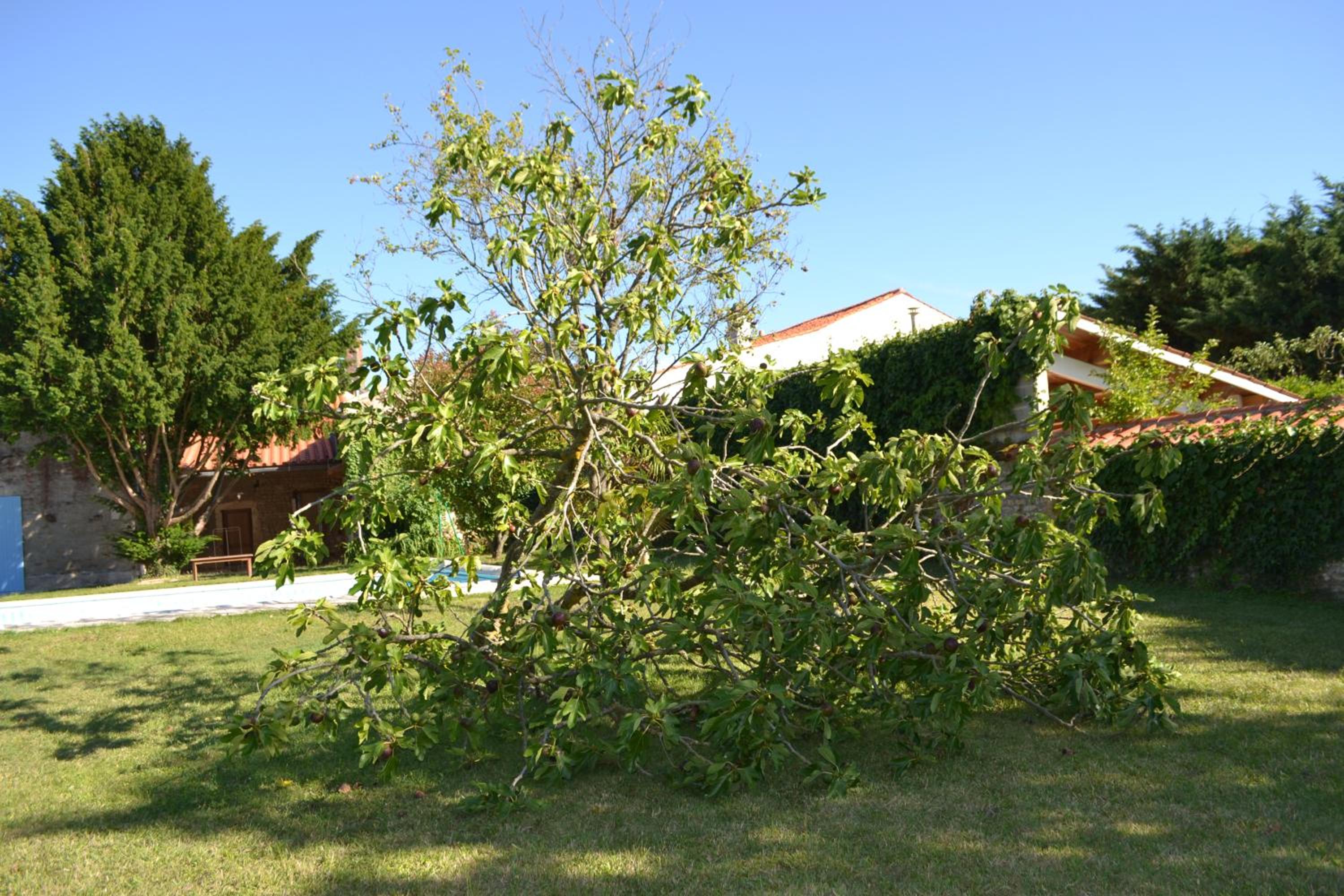 Photo 25
