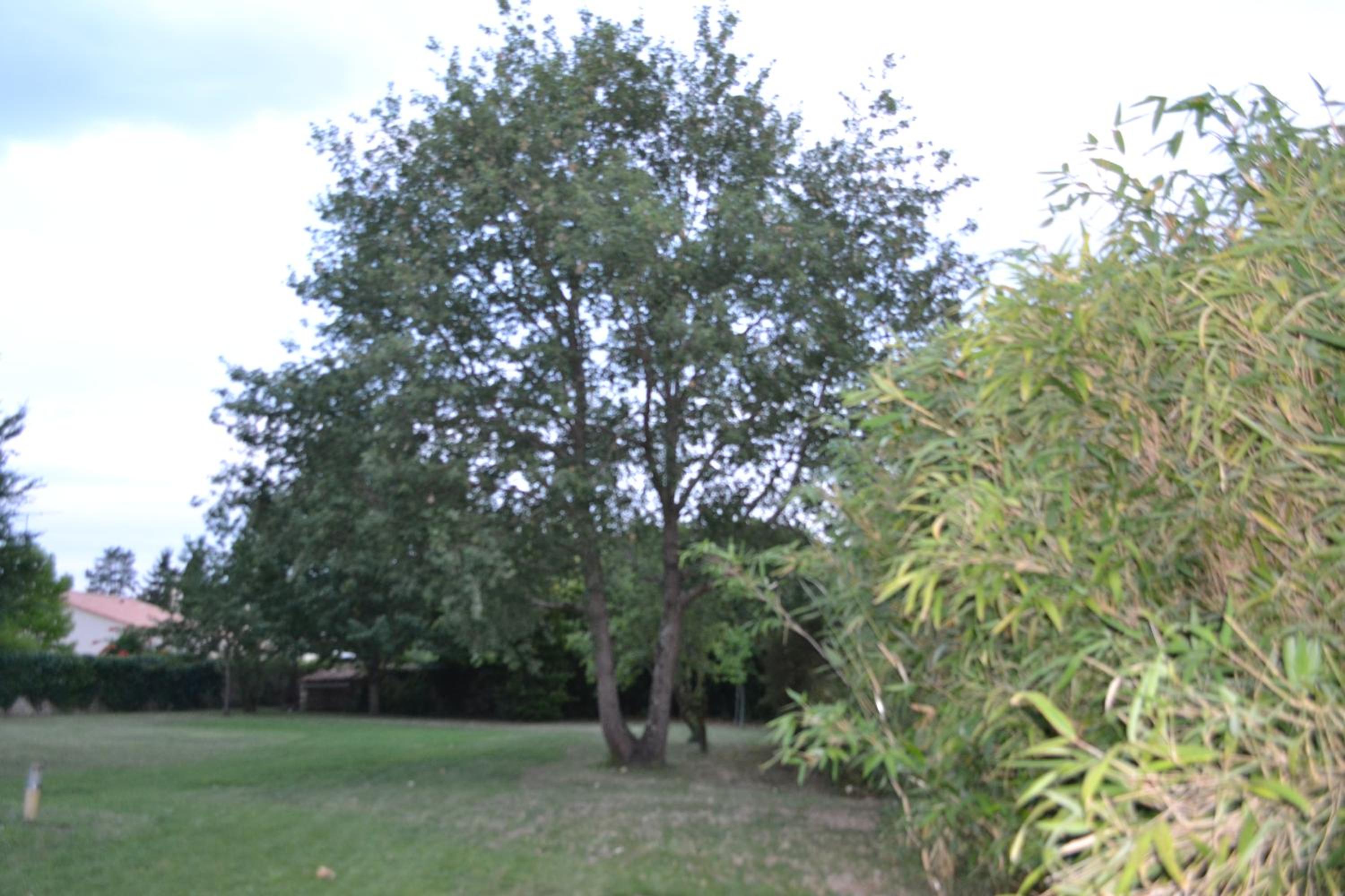 Photo 28