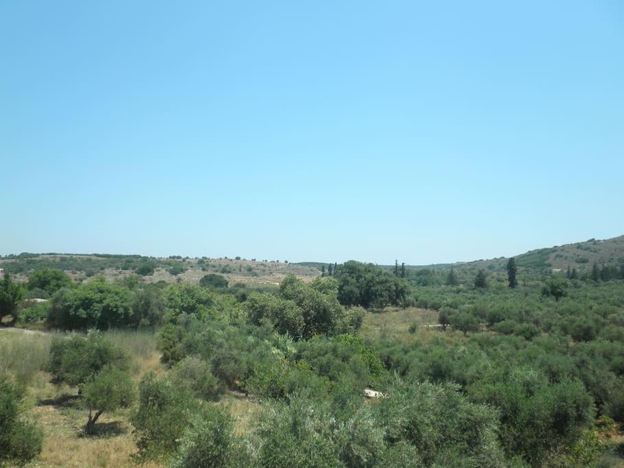 Dimis Country House