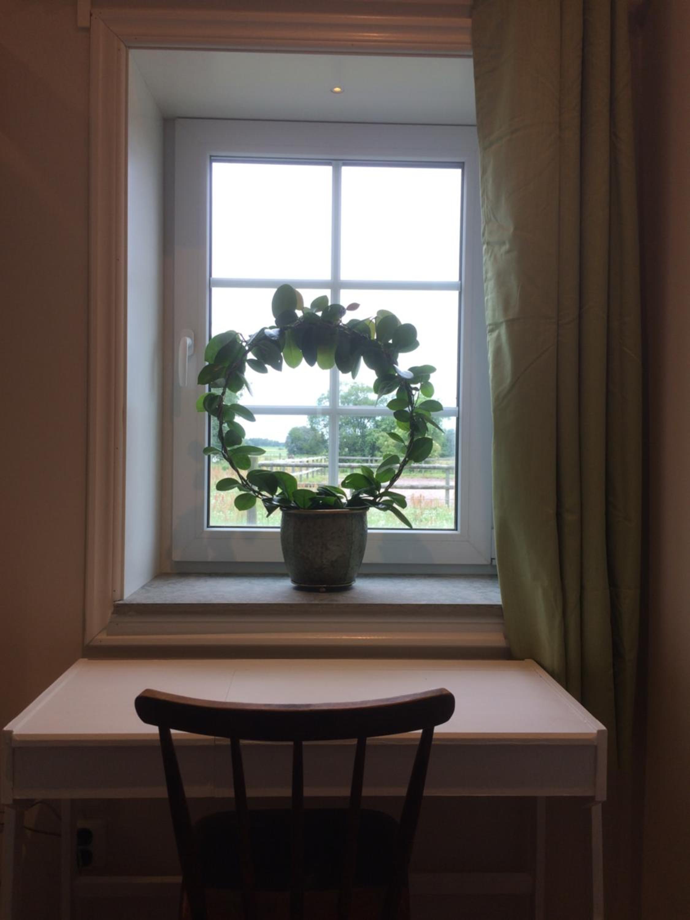 Ölands Yoga Studio & Islandshästar, Stugor & Rum